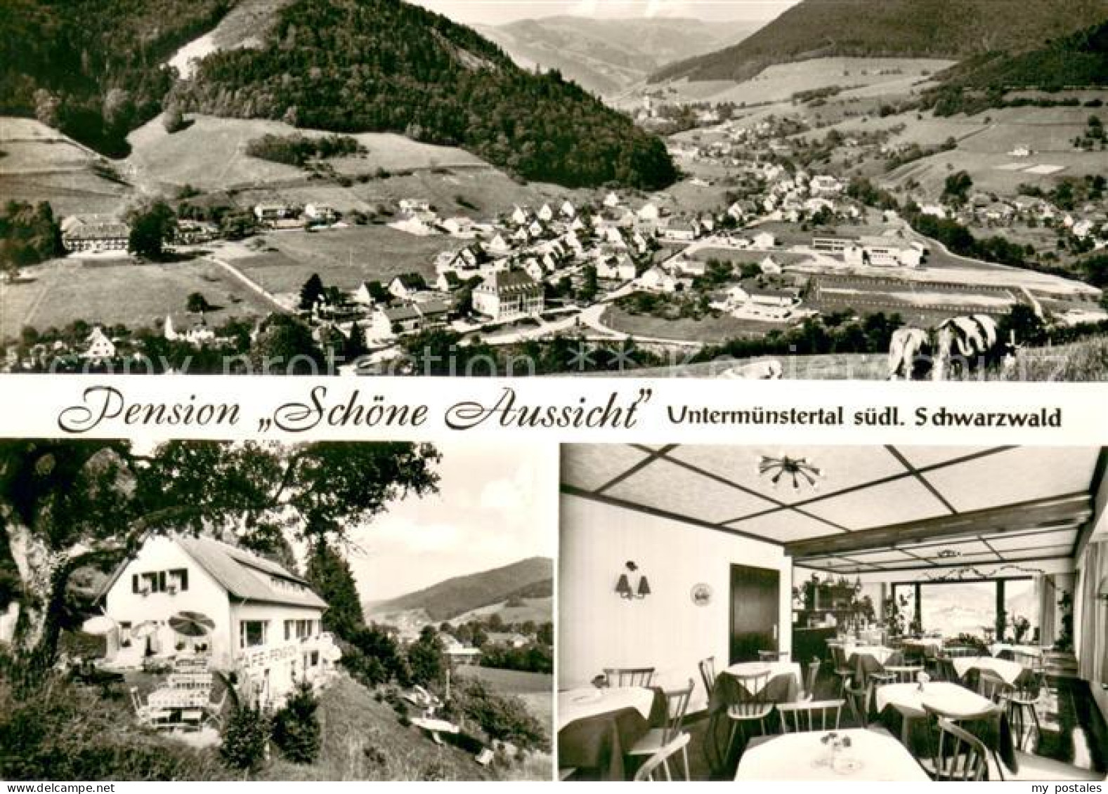 73654169 Untermuenstertal Pension Schoene Aussicht Cafe Landschaftspanorama Schw - Autres & Non Classés