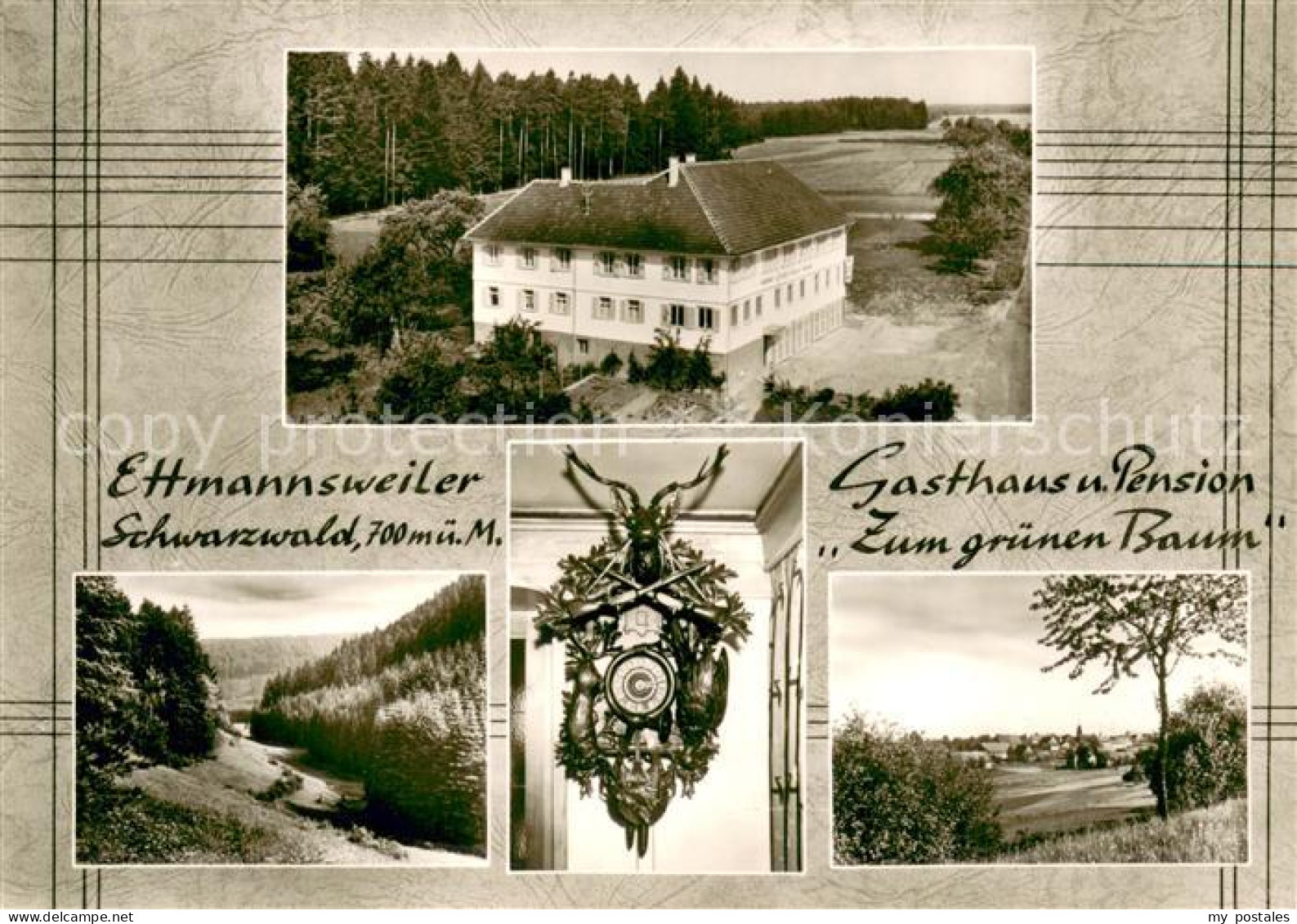 73654164 Ettmannsweiler Gasthaus Pension Zum Gruenen Baum Landschaftspanorama Sc - Autres & Non Classés