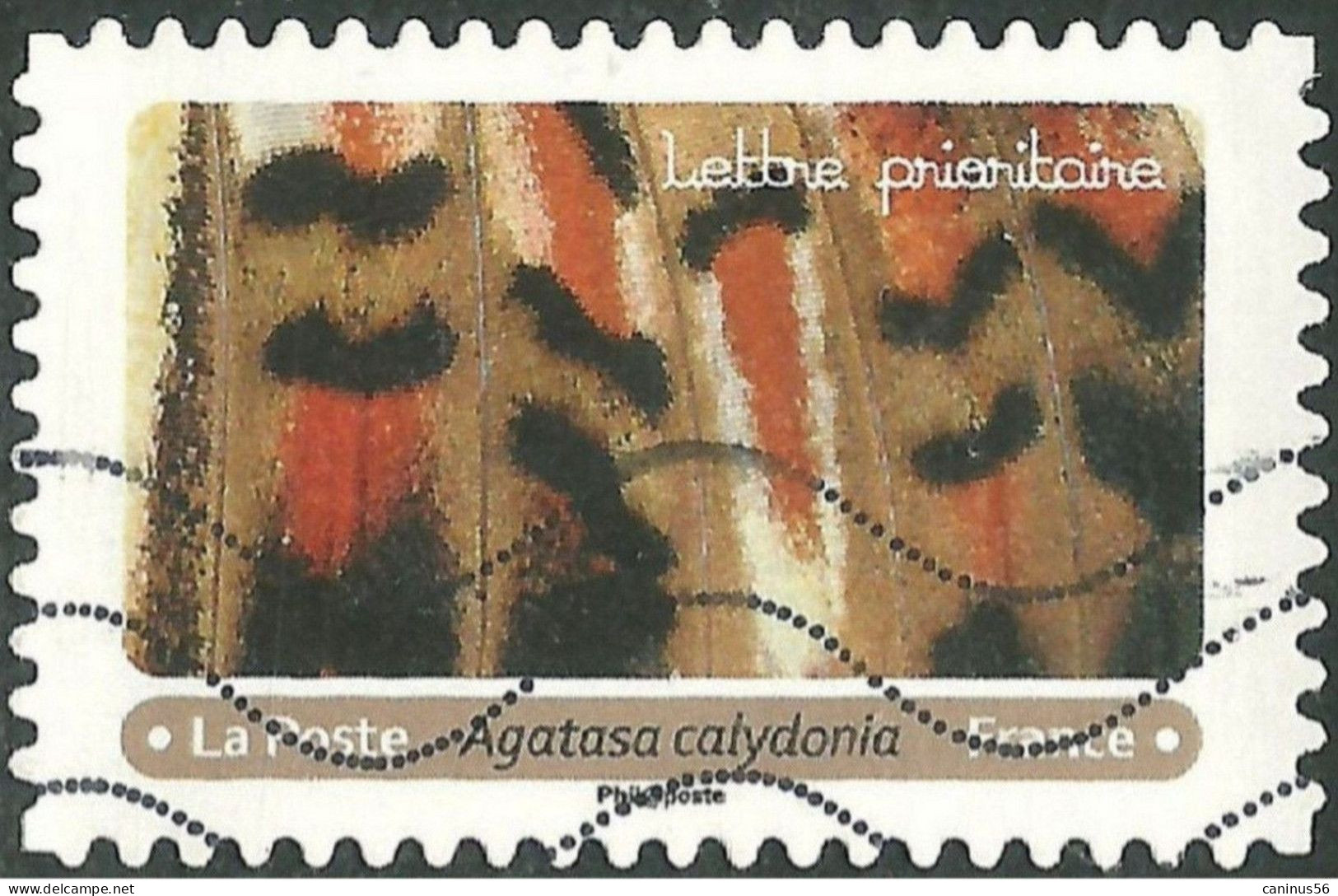 2020 Yt AA 1807 (o) Effets Papillons Agatasa Calydonia - Used Stamps