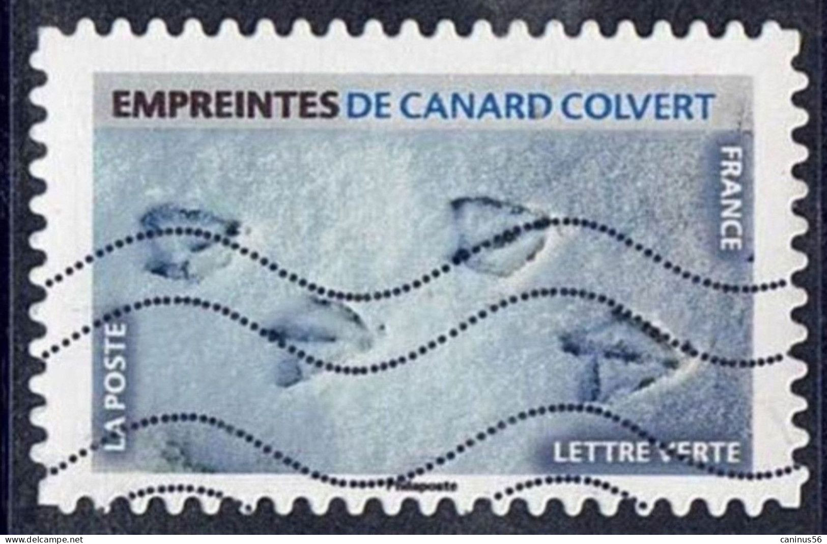 2021 Yt AA 1959 (o) Empreintes D'animaux Empreintes De Canard Colvert - Usati