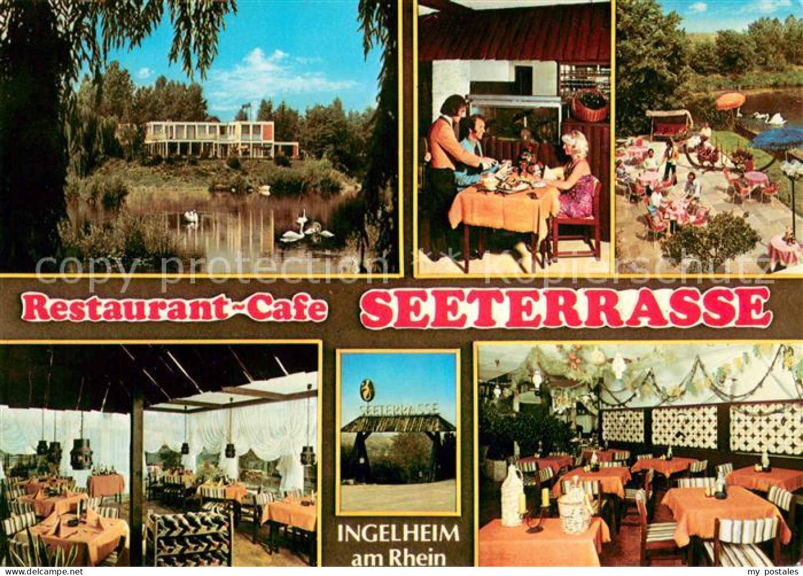 73653998 Ingelheim Rhein Restaurant Cafe Seeterrasse Gastraeume Schwanenteich In - Ingelheim