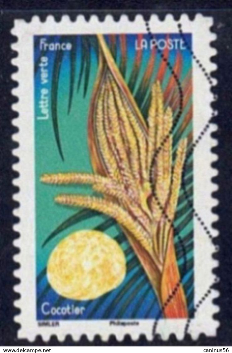 2022 Yt AA 2142 (o)  Fleurs Et Douceurs Cocotier - Used Stamps