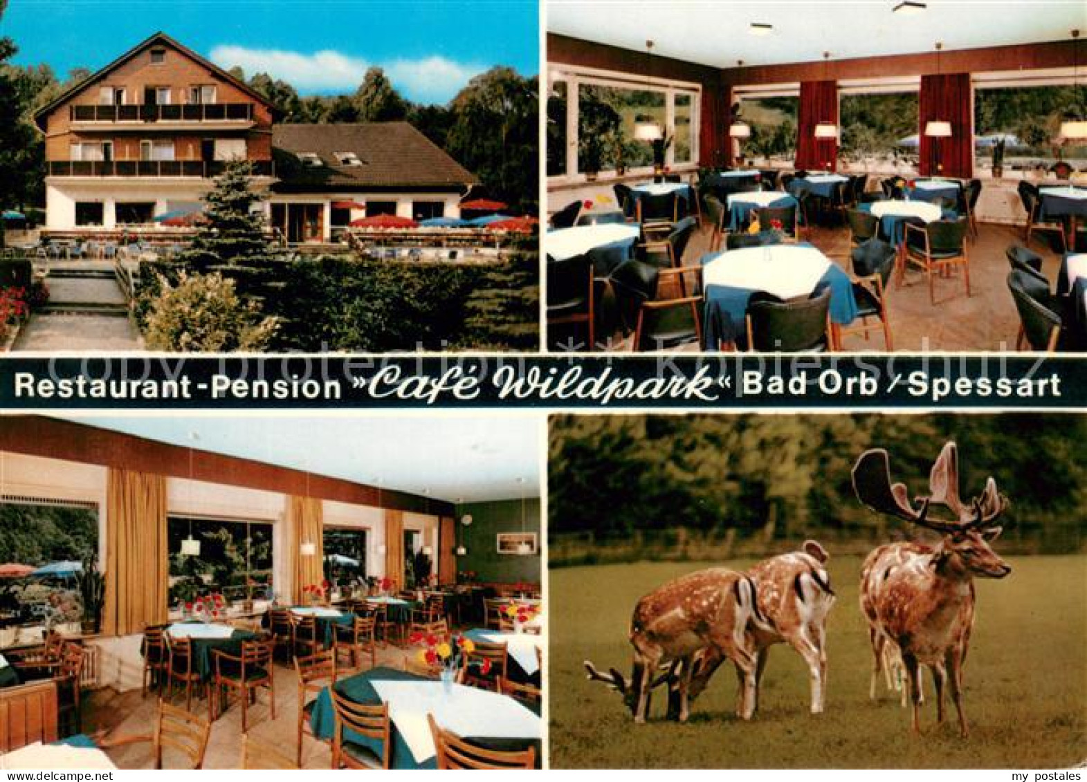 73653738 Bad Orb Restaurant Pension Cafe Wildpark Rehe Hirsch Bad Orb - Bad Orb