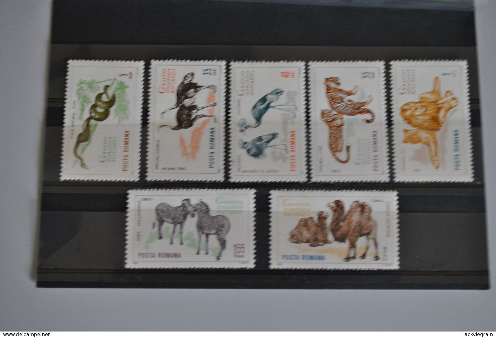 Roumanie 1964 Zoo Bucarest MNH Incomplet - Nuovi