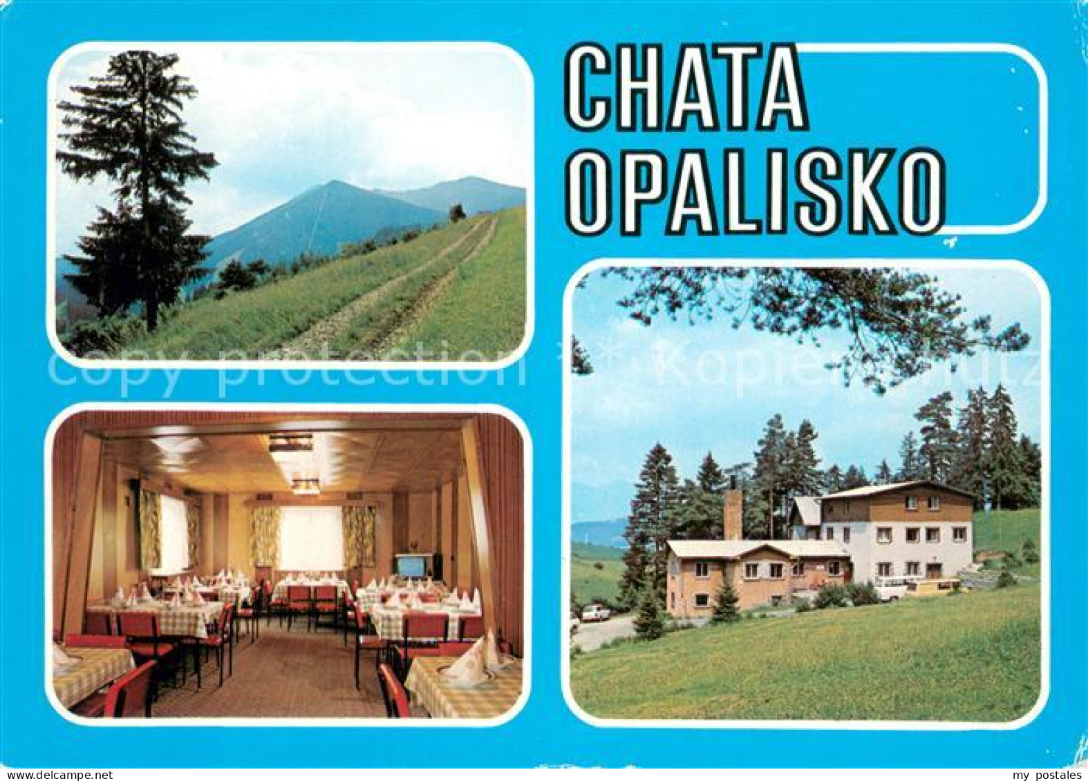 73653690 Zavazna Poruba Chata Opalisko Nizke Tatry Berghotel Restaurant Niedere  - Slovakia