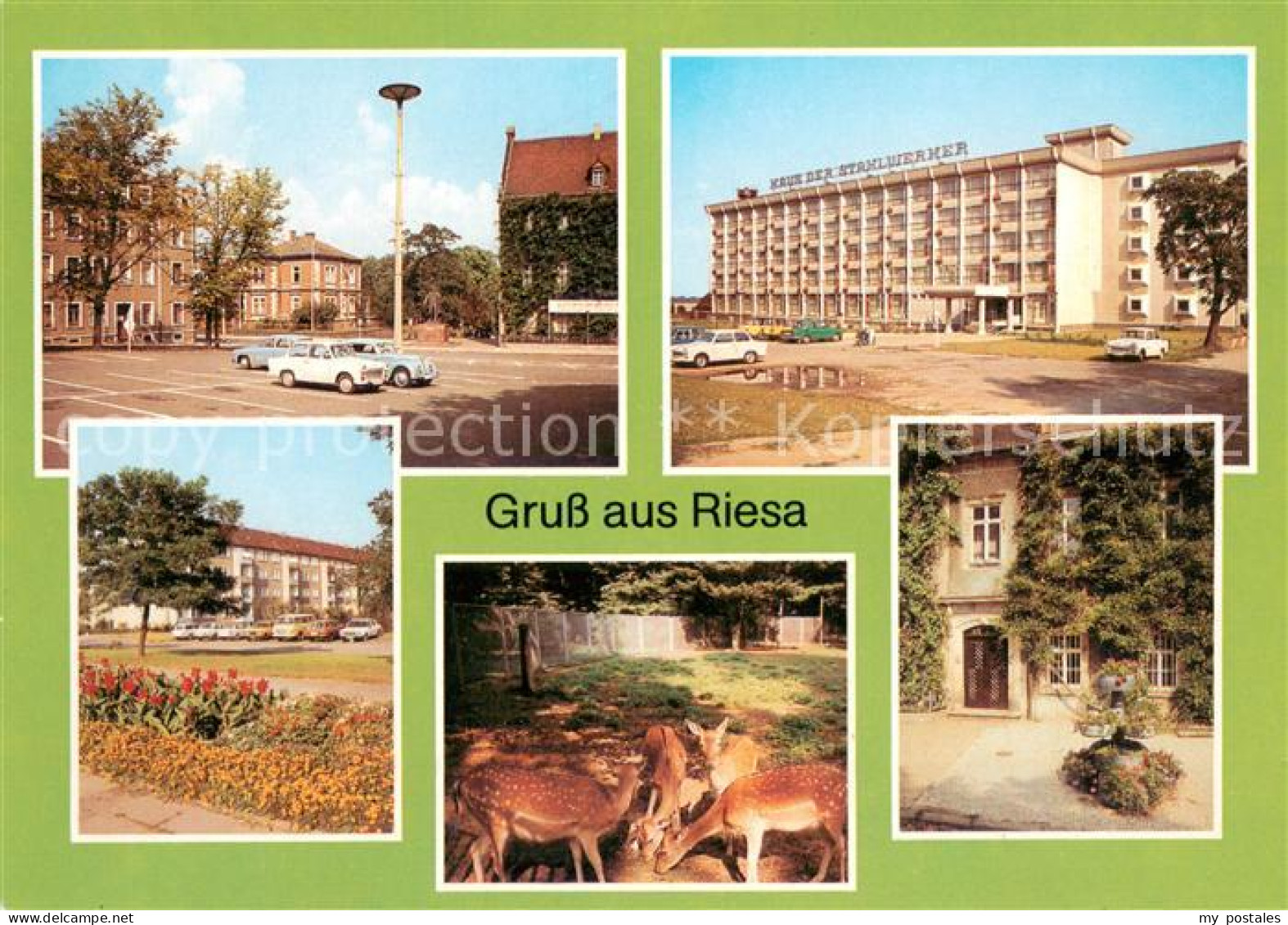 73653666 Riesa Sachsen Leninplatz Haus Der Stahlwerker Greiswalder Strasse Tierp - Riesa