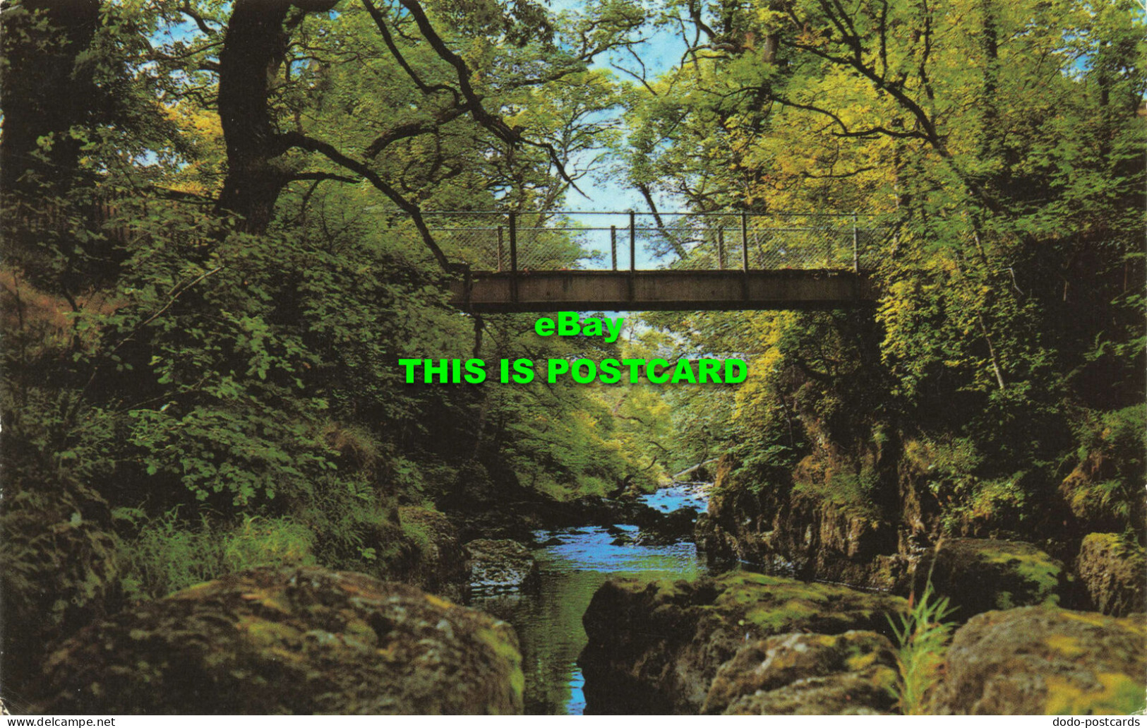 R573115 Alpine Bridge. Llandrindod Wells. 1977 - World