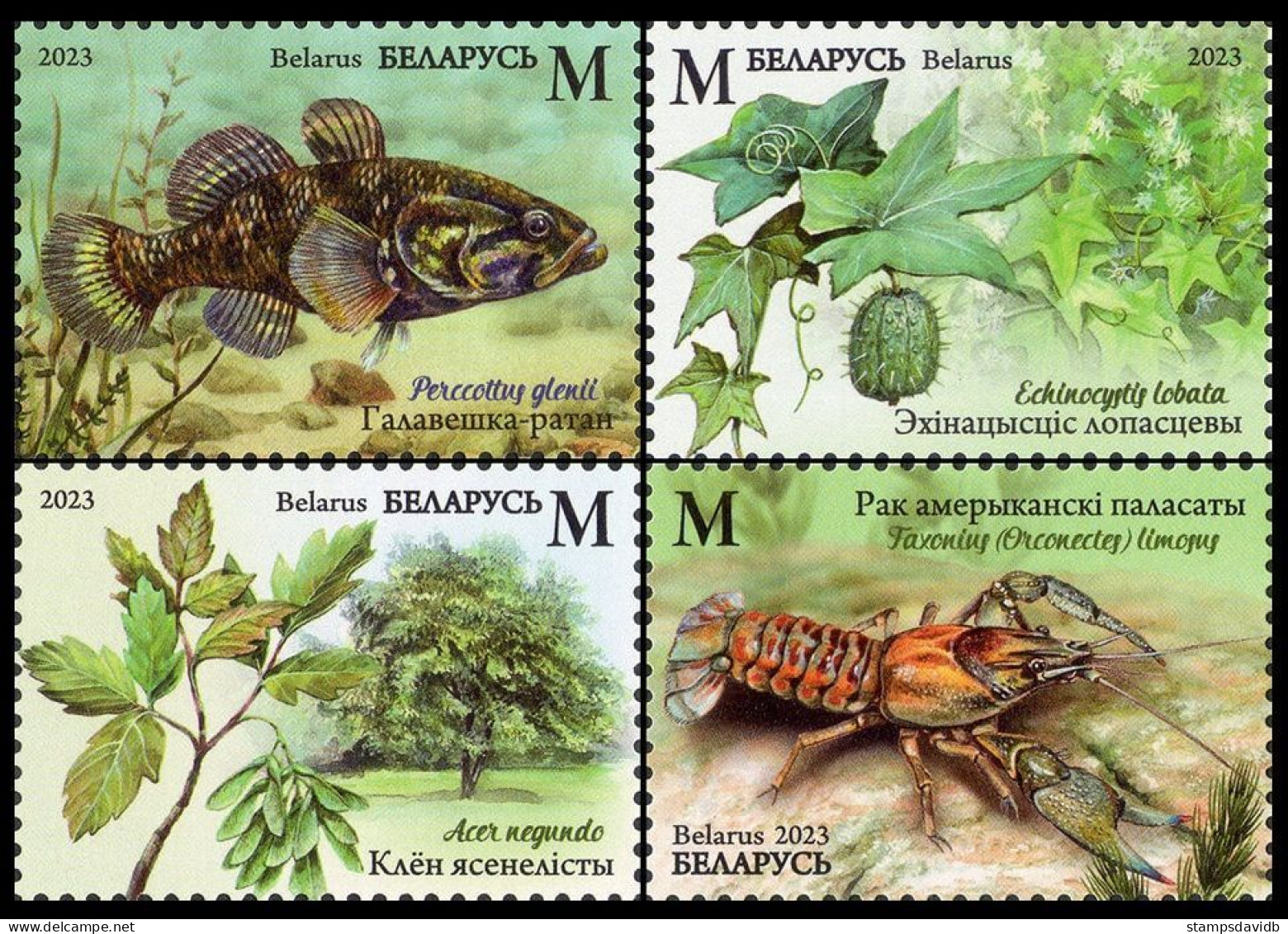 2023 Belarus 1498-1501 Flora And Fauna Of Belarus 12,60 € - Maritiem Leven