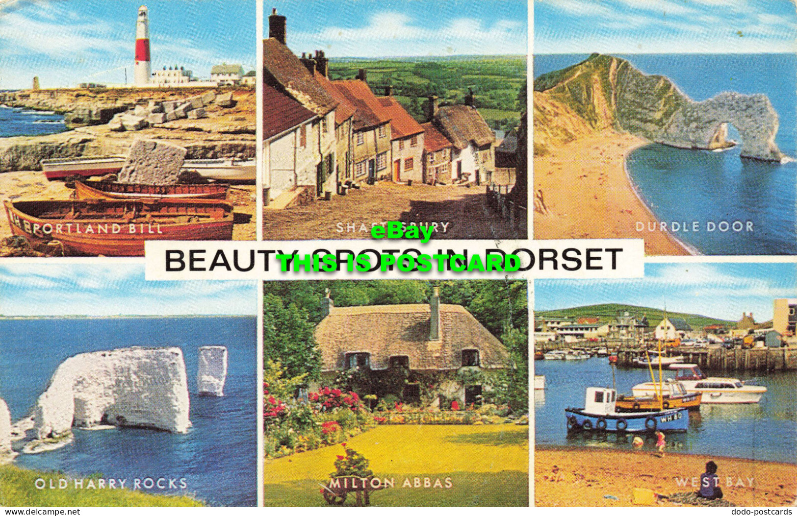 R573141 Beauty Spots In Dorset. Salmon. Multi View - Monde