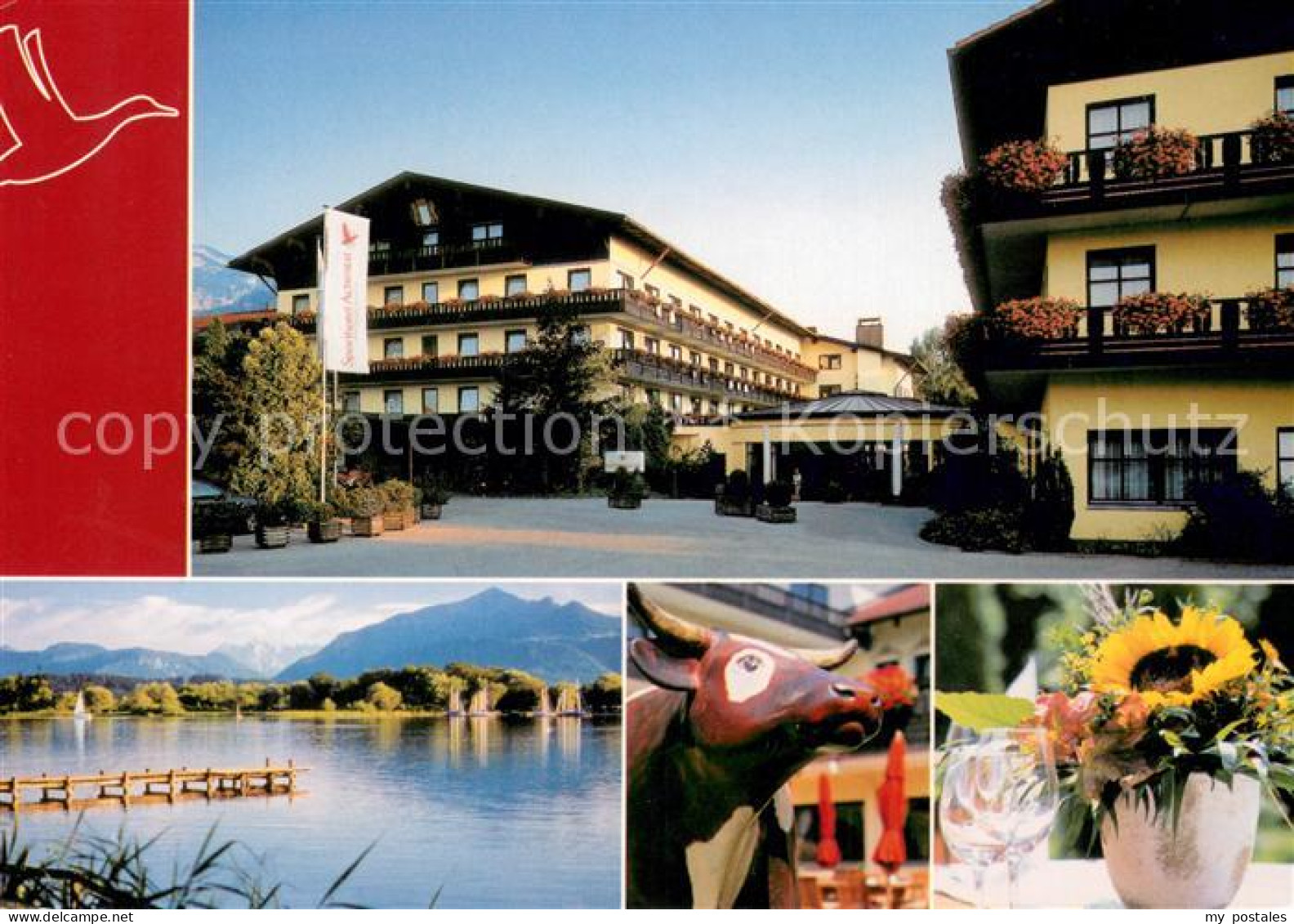 73653417 Grassau Chiemgau Sporthotel Achental Chiemsee Bunte Kuh Sonnenblume Gra - Altri & Non Classificati