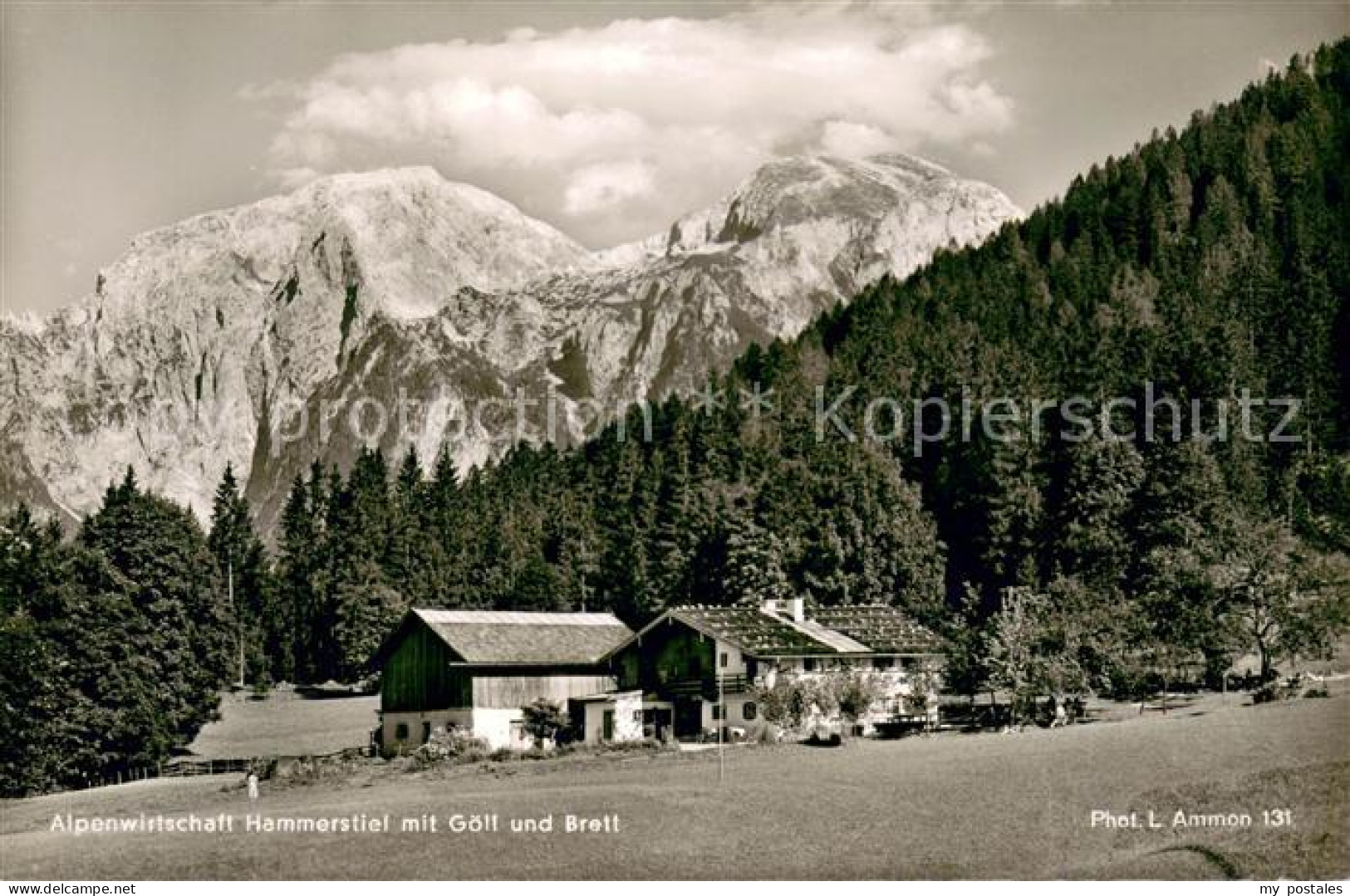 73653387 Hoher Goell Alpenwirtschaft Hammerstiel Mit Goell Und Brett Hoher Goell - Berchtesgaden