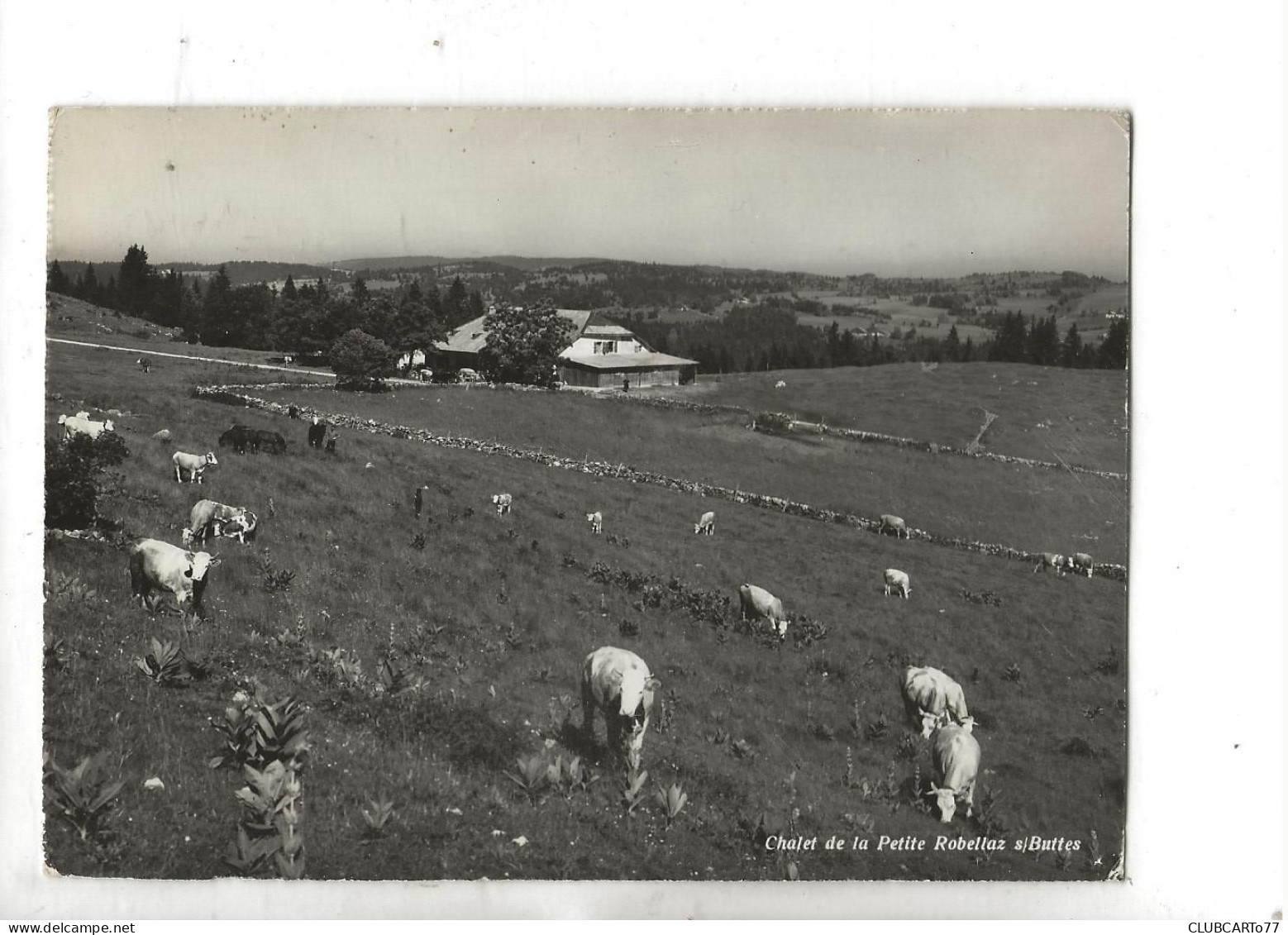 Val-de-Travers (Suisse, Neuchâtel) : Le Châlet De La Petite Robellaz  En 1960 GF. - Val-de-Travers