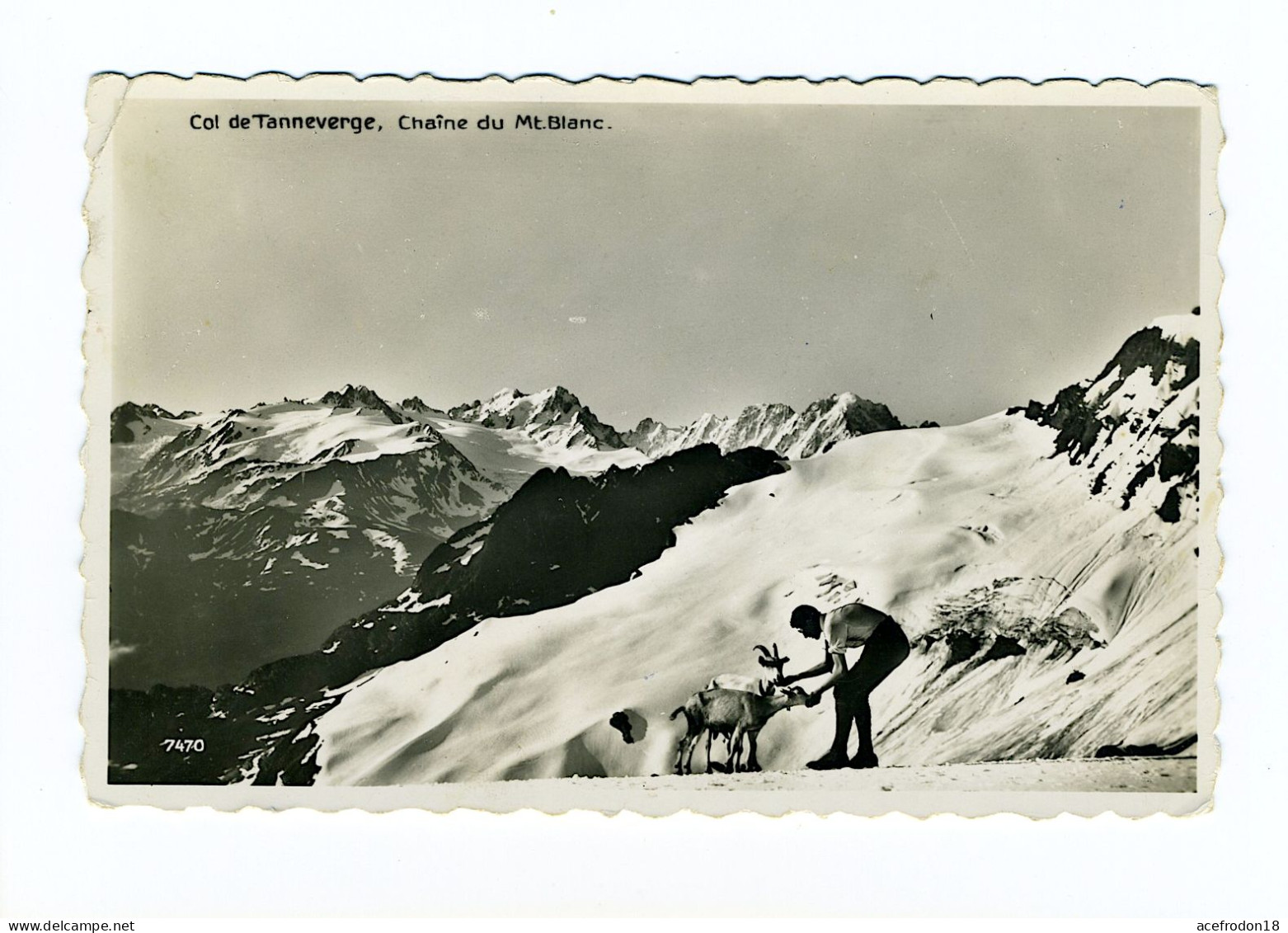 Col De Tanneverge, Chaîne Du Mont-Blanc - Otros & Sin Clasificación