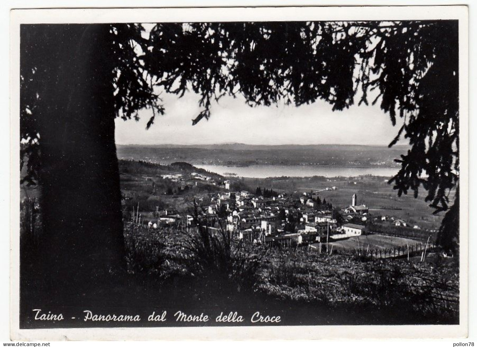 TAINO - PANORAMA DAL MONTE DELLA CROCE - VARESE - 1950 - Varese