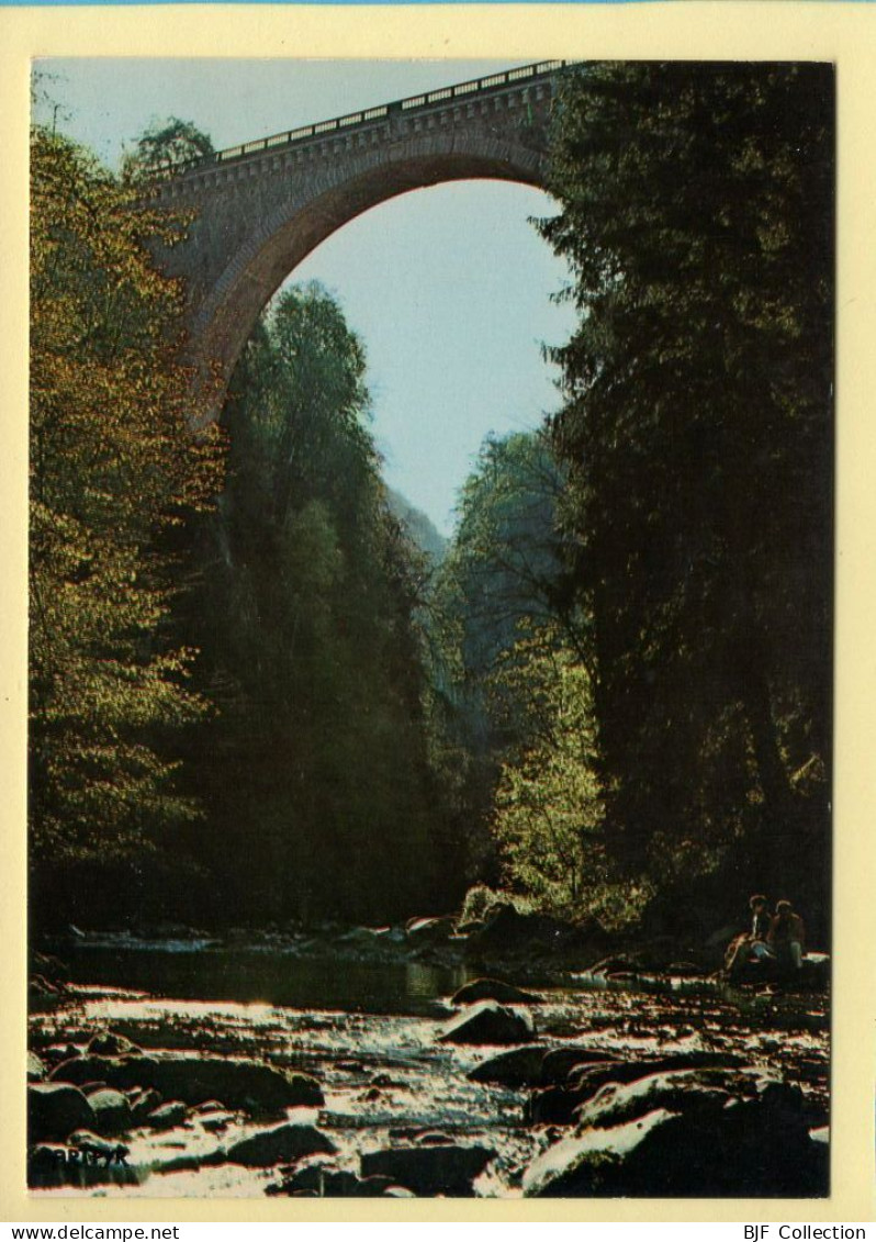 65. SAINT-SAUVEUR – Le Pont Napoléon (voir Scan Recto/verso) - Luz Saint Sauveur