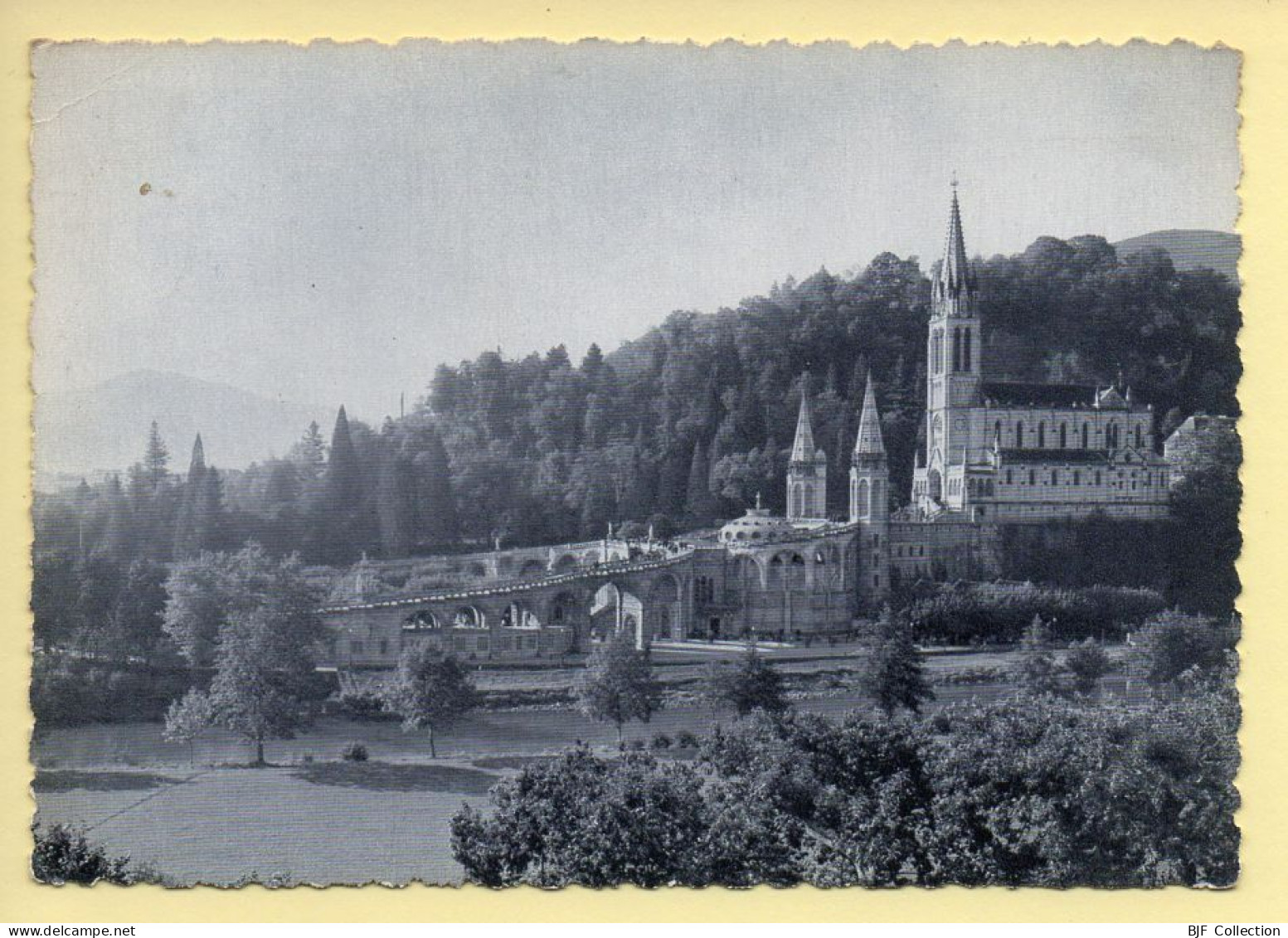 65. LOURDES – La Basilique / Vue Latérale / CPSM (voir Scan Recto/verso) - Lourdes