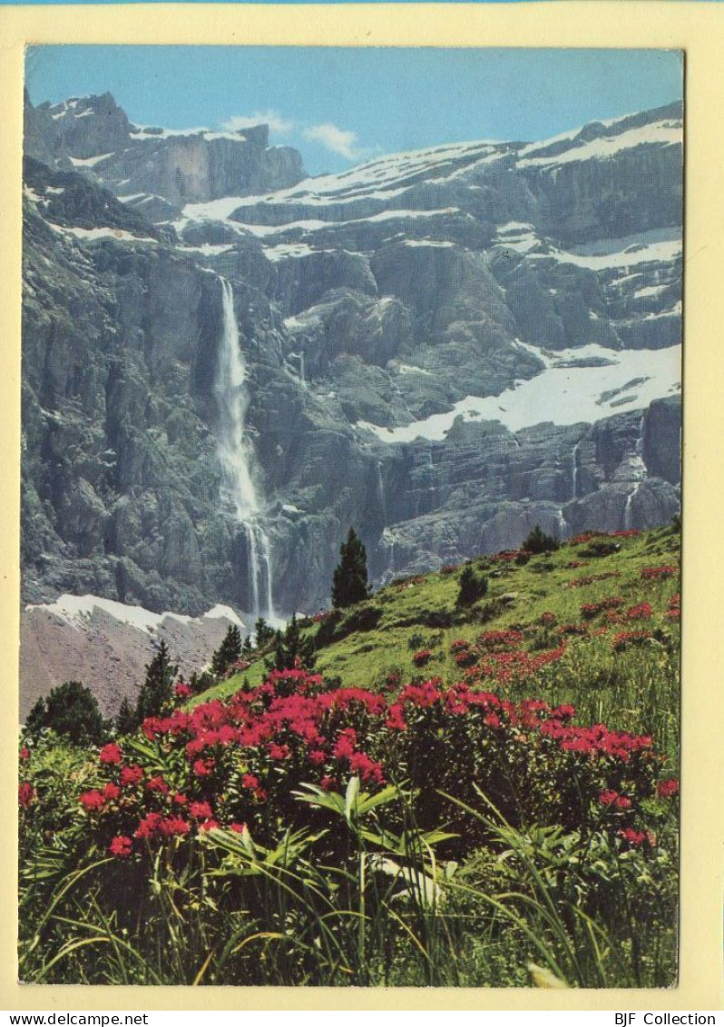 65. GAVARNIE – Rhododendrons Et Cascade Du Cirque (voir Scan Recto/verso) - Gavarnie