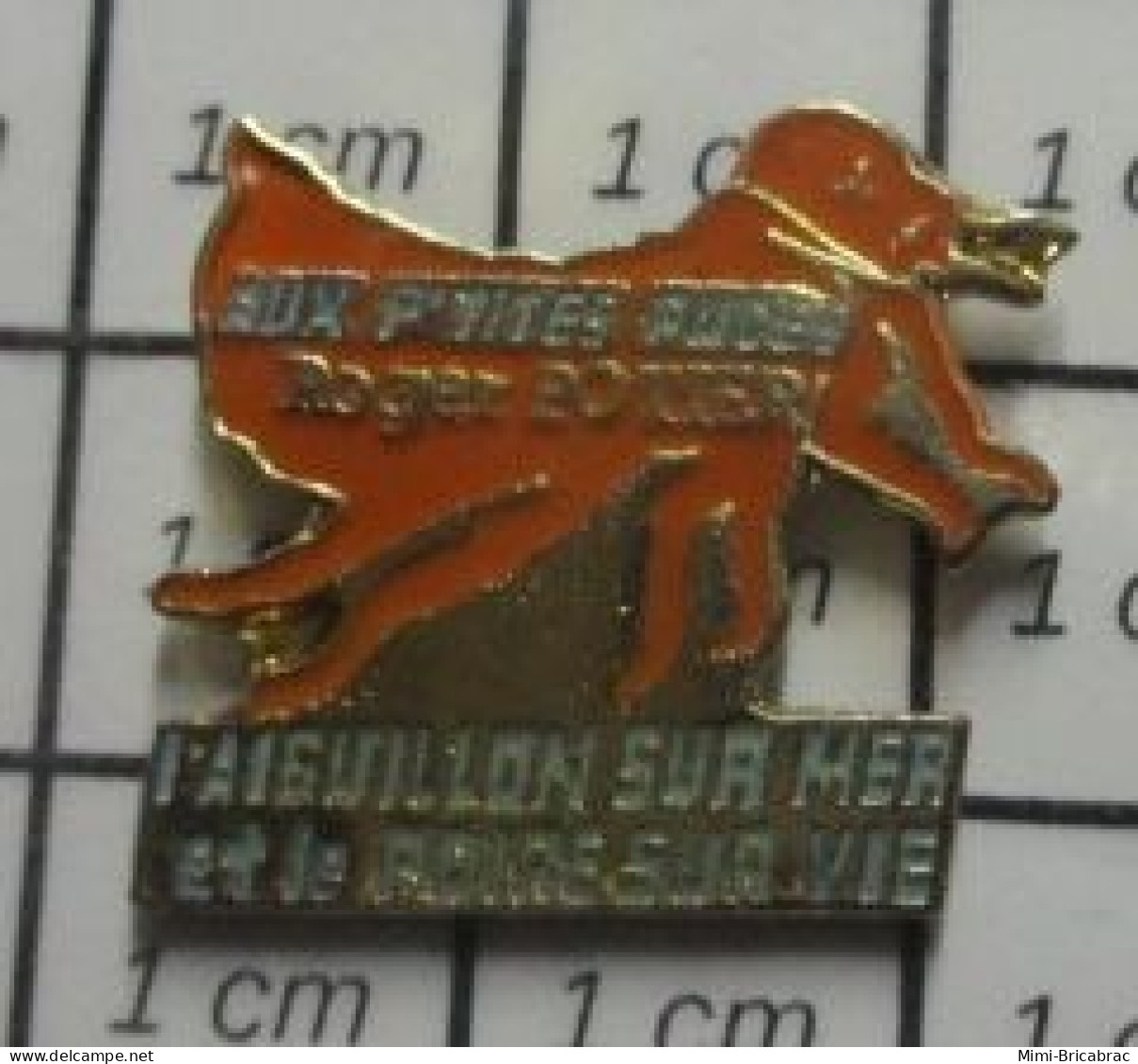 3517 Pin's Pins / Beau Et Rare / MARQUES / AUX PETITES PUCES ROGER POTIER L'AIGUILLON SUR MER - Merken