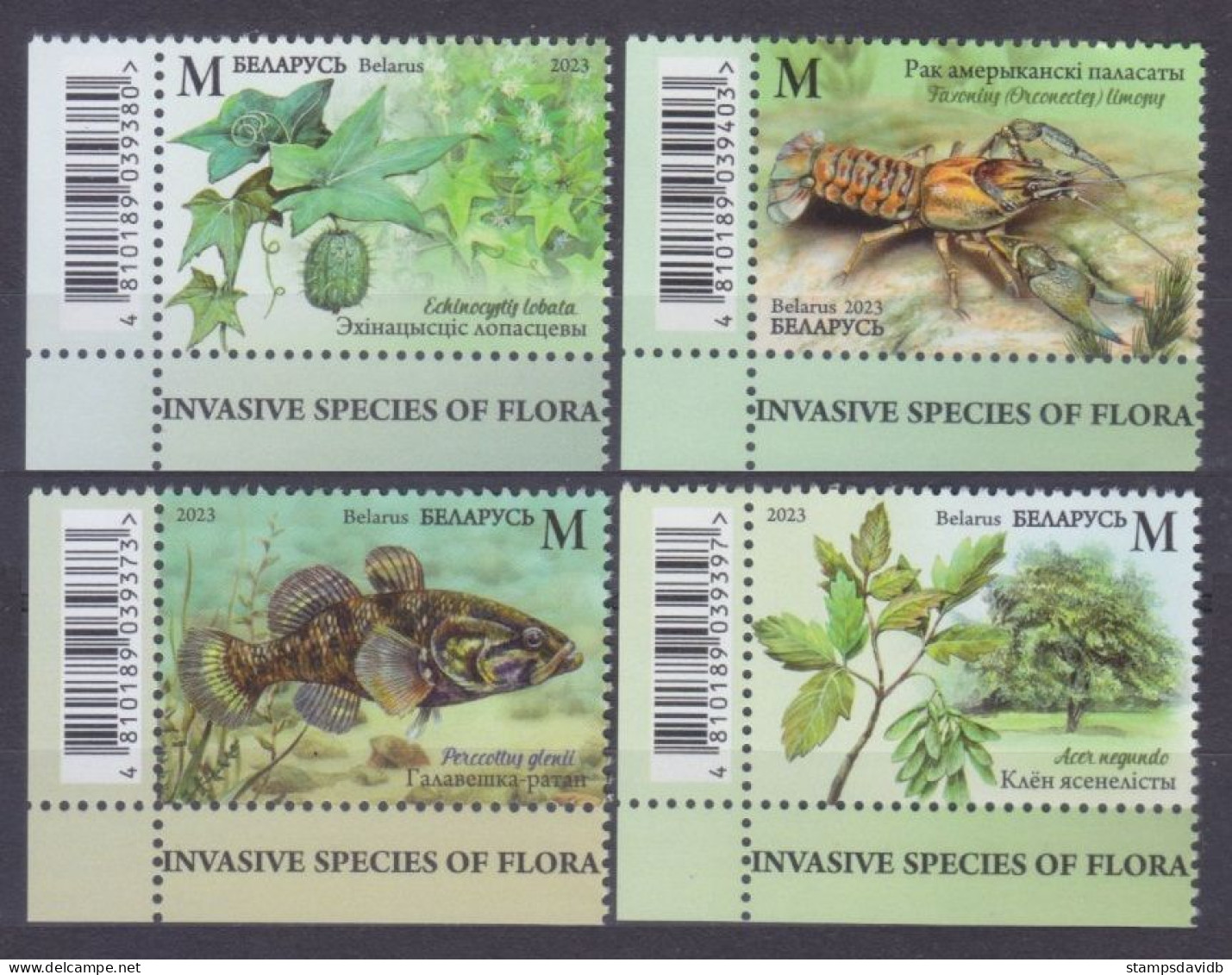 2023 Belarus 1498-1501+Tab Flora And Fauna Of Belarus 12,60 € - Meereswelt