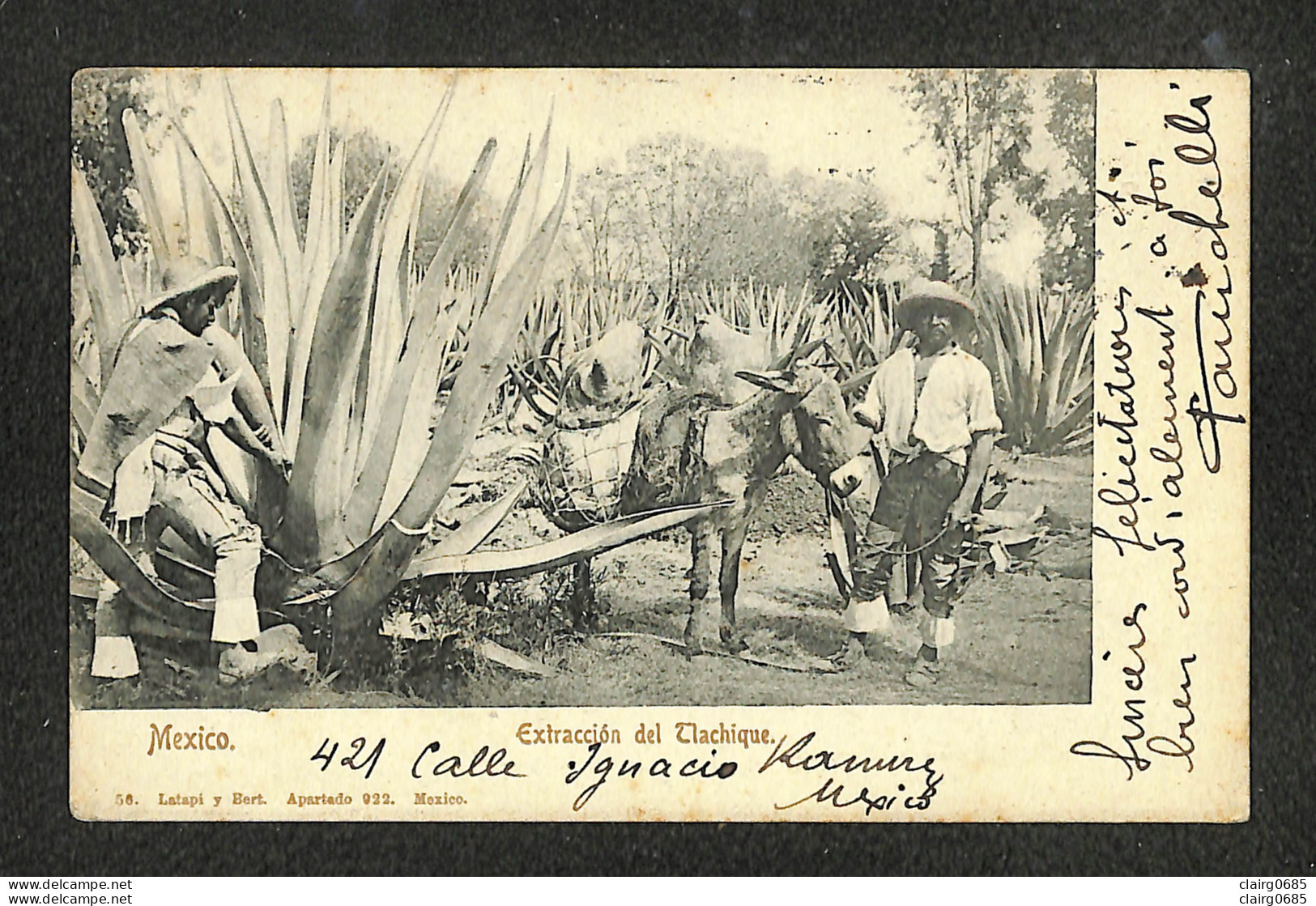 MEXIQUE - MEXICO - Extraccion Del  Tlachique - 1909 - Mexico