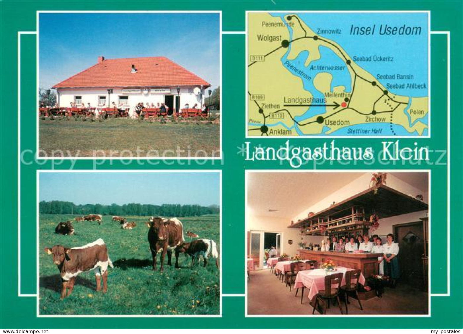 73653068 Mellenthin Landgasthaus Klein Gastraum Inselkarte Rinderherde  Mellenth - Altri & Non Classificati