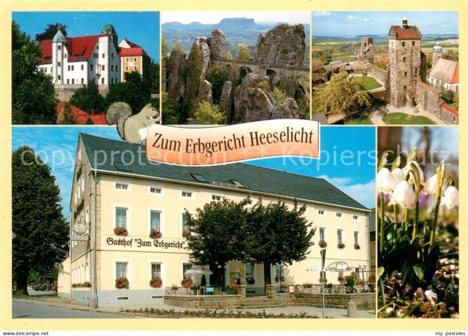 73652845 Heeselicht Sebnitz Gasthof Zum Erbgericht Schloss Burgruine Blumen Hees - Sebnitz
