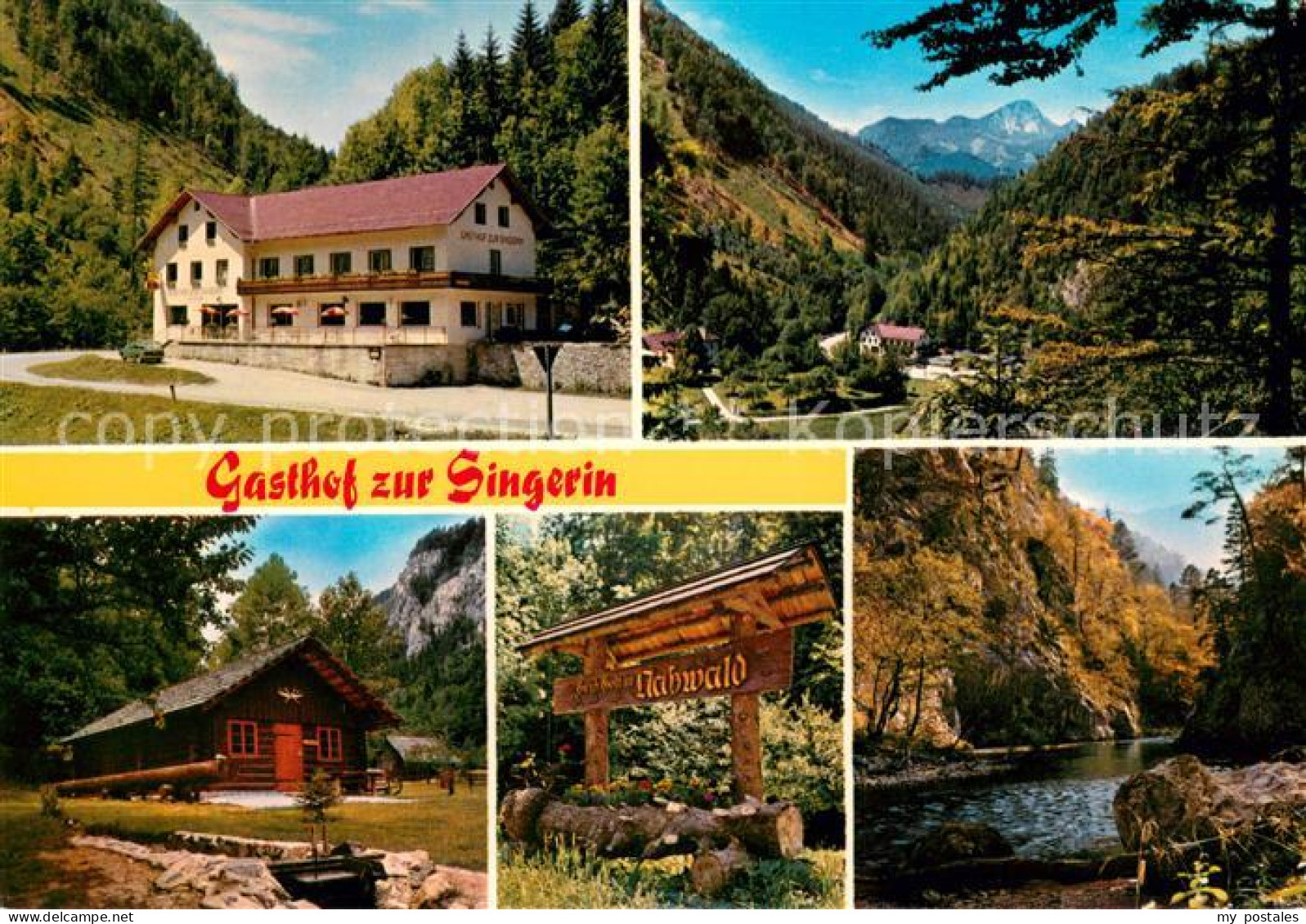 73652811 Nasswald Gasthaus Zur Singerin Huette Landschaftspanorama Alpen Nasswal - Autres & Non Classés