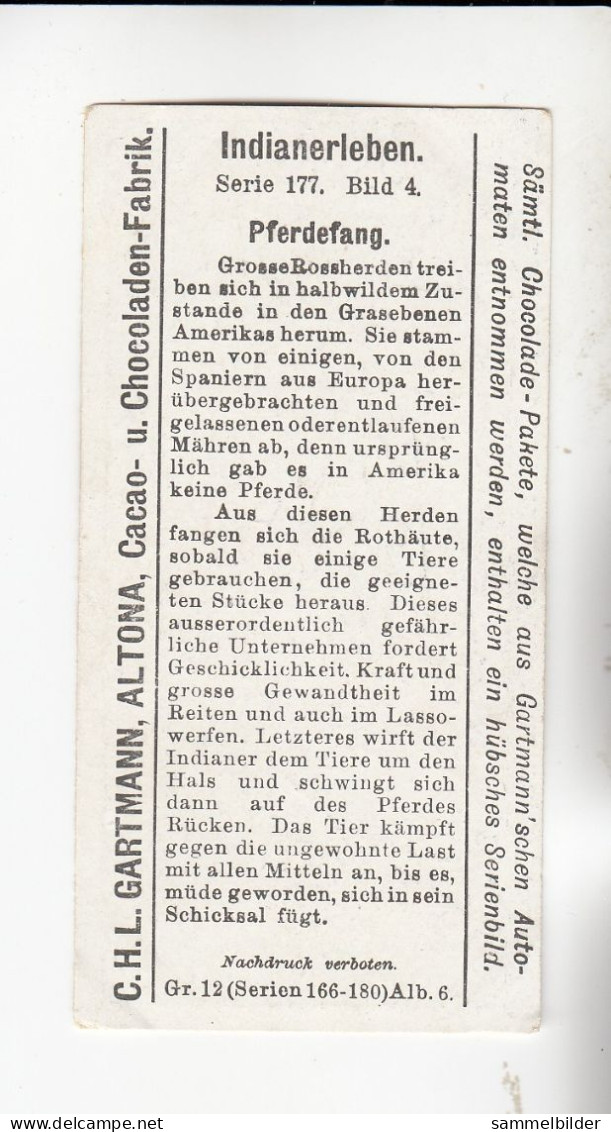 Gartmann  Indianerleben  Pferdefang     Serie 177 #4 Von 1906 - Sonstige & Ohne Zuordnung