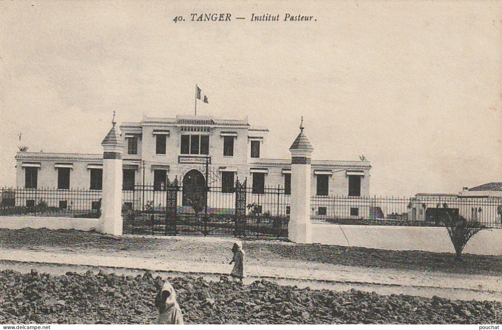 ZY 5- TANGER ( MAROC ) - INSTITUT PASTEUR - 2 SCANS - Tanger