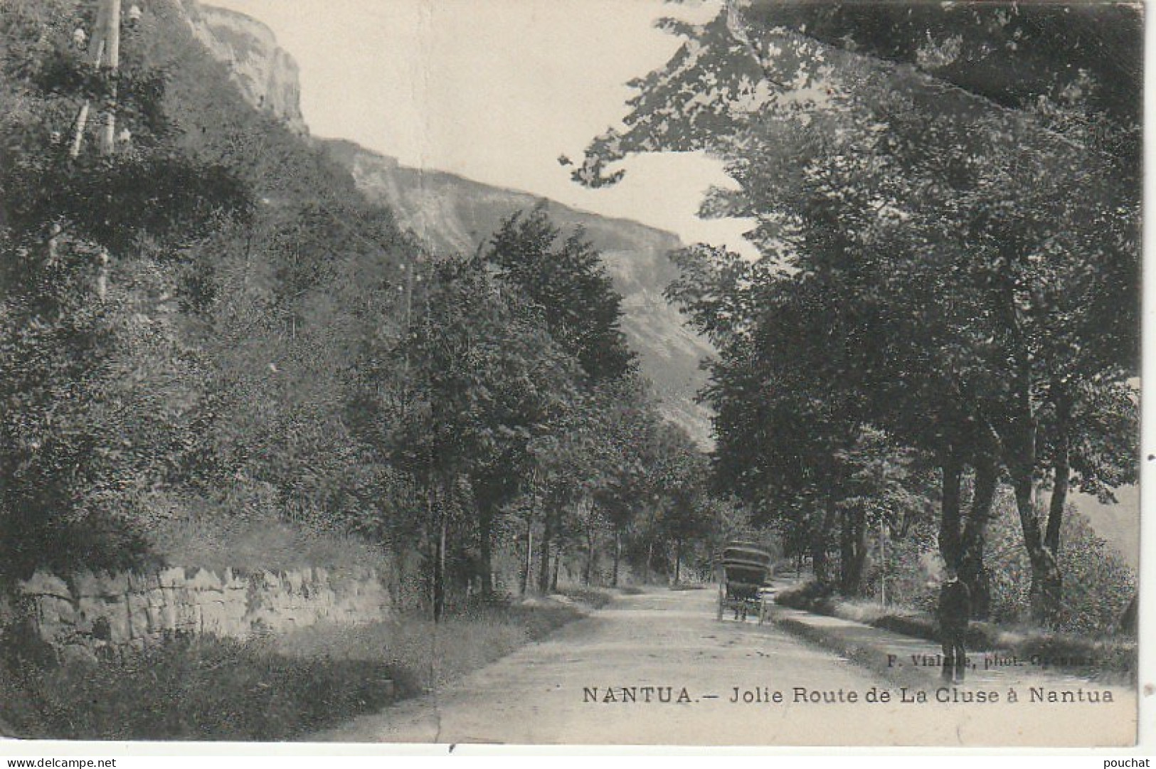 ZY 13-(01) NANTUA - JOLIE ROUTE DE LA CLUSE A NANTUA - PHOT. VIALATTE , OYONNAX - 2 SCANS - Nantua