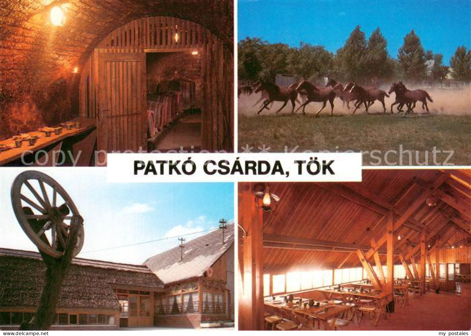 73652584 Toek Ungarn Patko Csarda Restaurant Weinkeller Pferde  Toek Ungarn - Sonstige & Ohne Zuordnung