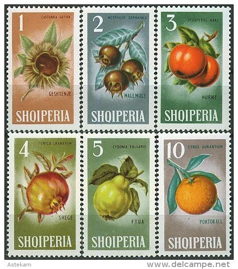 ALBANIA 1965, FRUITS, COMPLETE, MNH SERIES With GOOD QUALITY, *** - Albanië