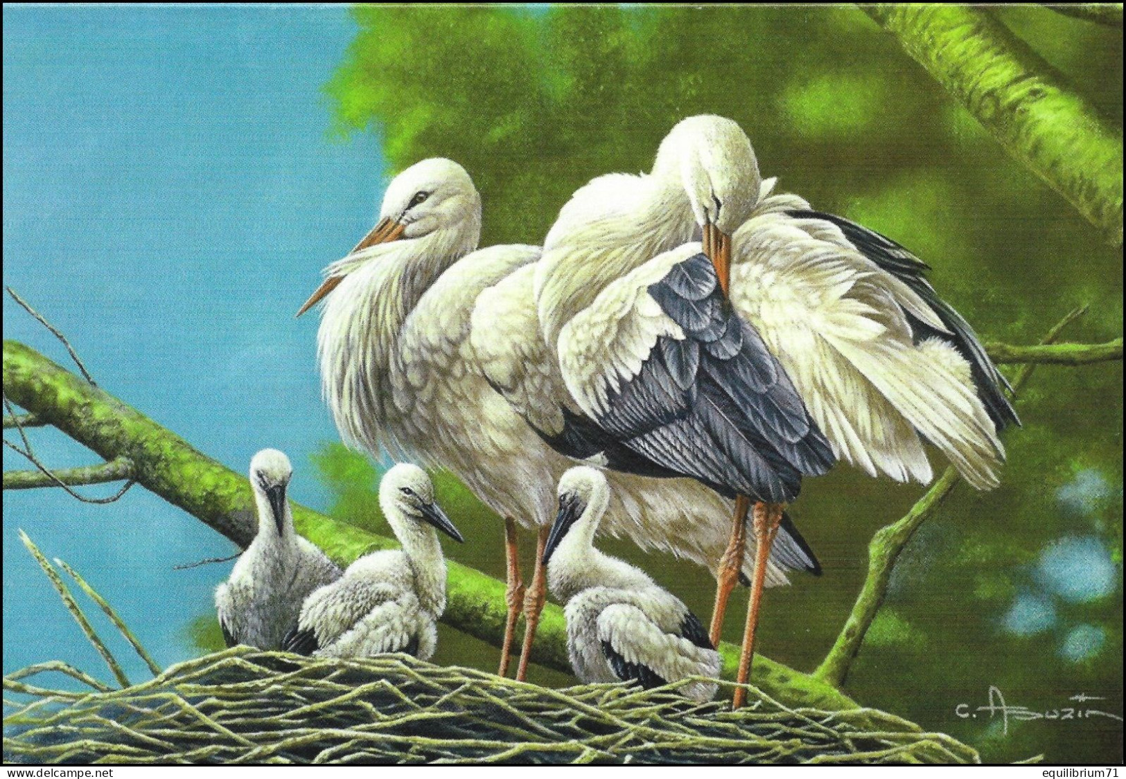 Double Carte Pliante/Dubbele Vouwkaart** - BUZIN - Cigogne Blanche / Witte Ooievaar / Weißer Storch / Ciconia Ciconia - 1985-.. Birds (Buzin)