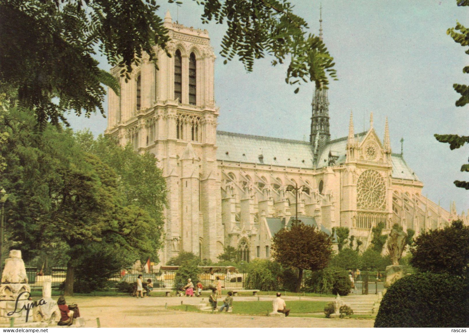 CPM - P - PARIS - LA CATHEDRALE NOTRE DAME ET LE SQUARE VIVIANI - Notre Dame De Paris