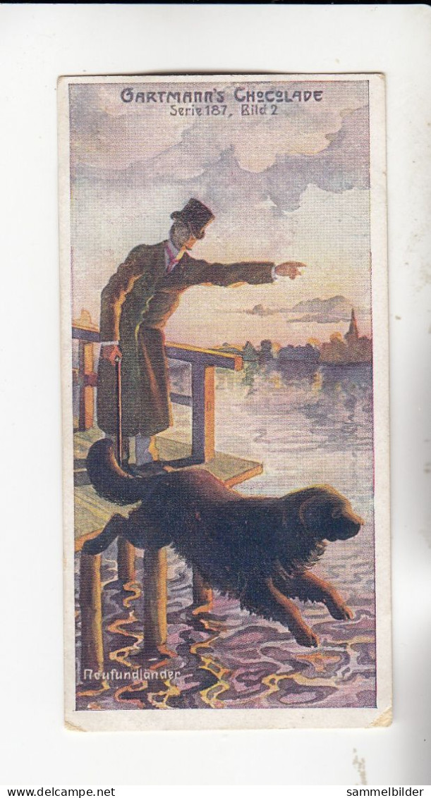 Gartmann Der Hund Im Dienste Des Menschen   Neufundländer       Serie 187 #2 Von 1907 - Sonstige & Ohne Zuordnung
