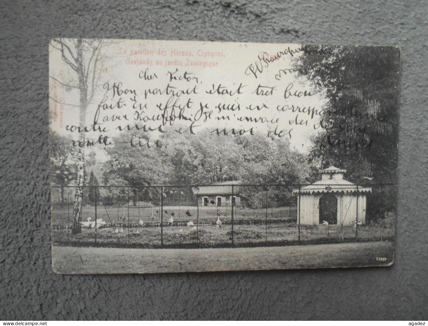 CPA Gent Gand Le Pavillon Des Herons,cigognes Goelands Au Jardin Zoologique 1905 - Gent