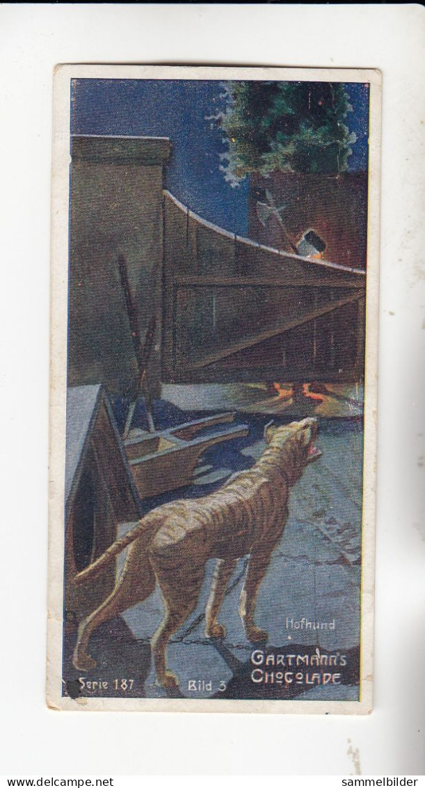 Gartmann Der Hund Im Dienste Des Menschen   Hofhund    Serie 187 #3 Von 1907 - Other & Unclassified