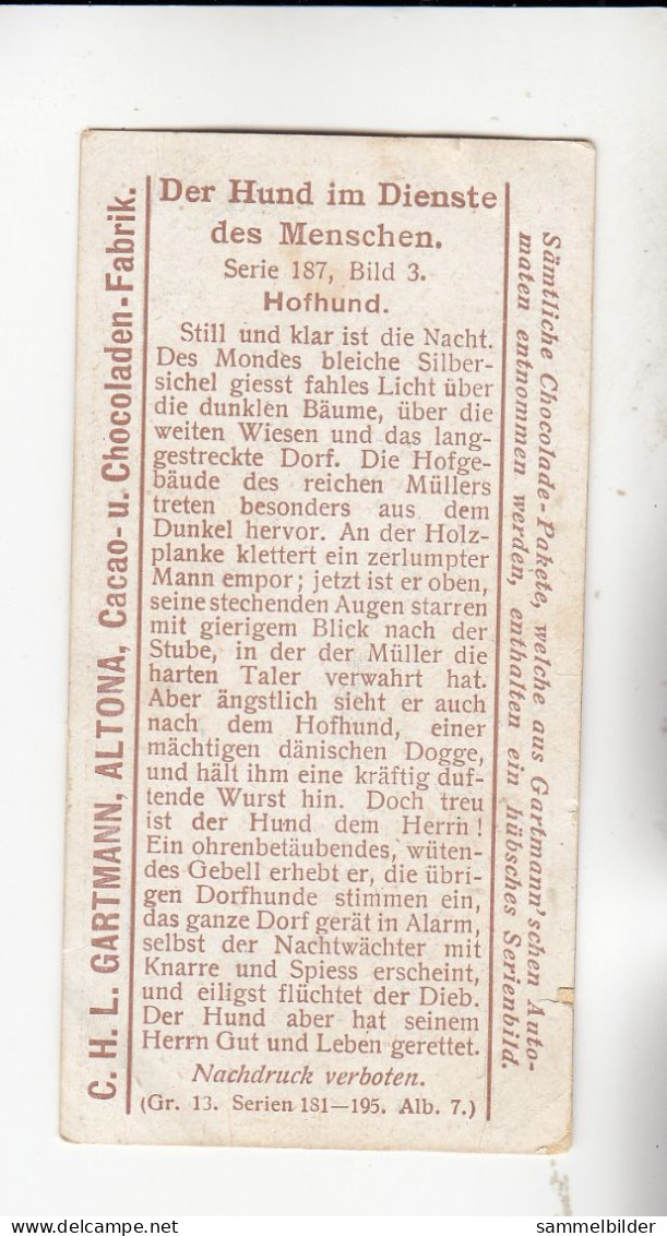 Gartmann Der Hund Im Dienste Des Menschen   Hofhund    Serie 187 #3 Von 1907 - Sonstige & Ohne Zuordnung