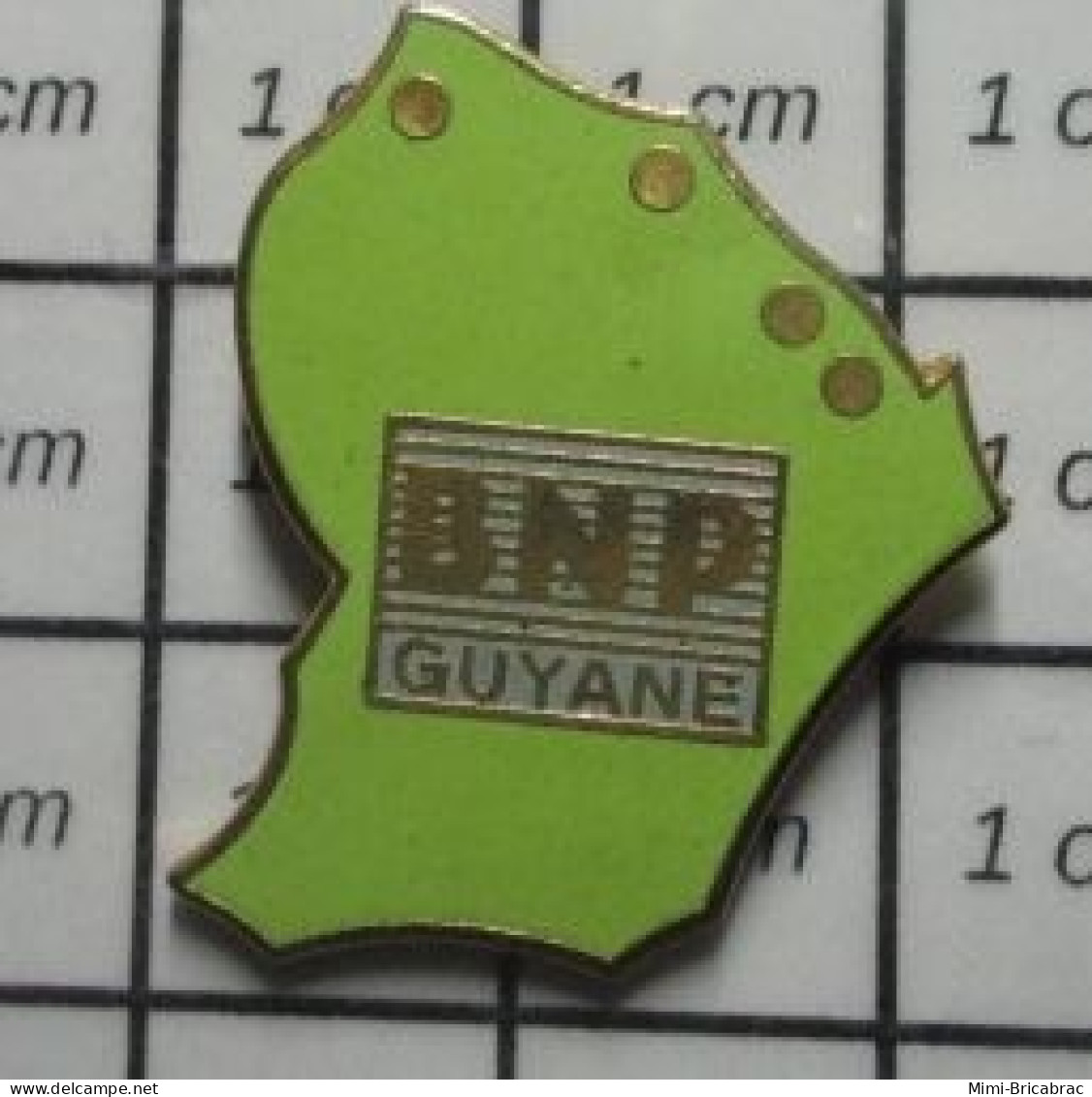 3517 Pin's Pins / Beau Et Rare / BANQUES / BNP GUYANE - Banken