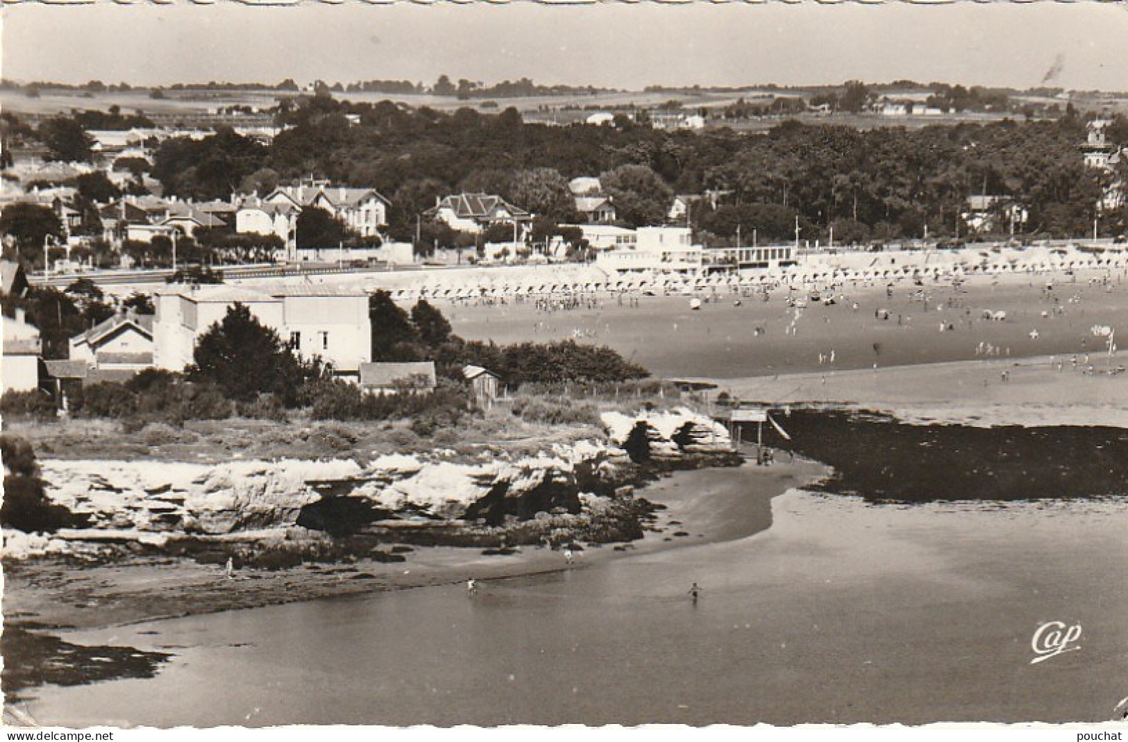 ZY 29-(17) SAINT GEORGES DE DIDONNE - VUE GENERALE DE LA PLAGE PRISE DU PHARE - VILLAS - 2 SCANS - Saint-Georges-de-Didonne