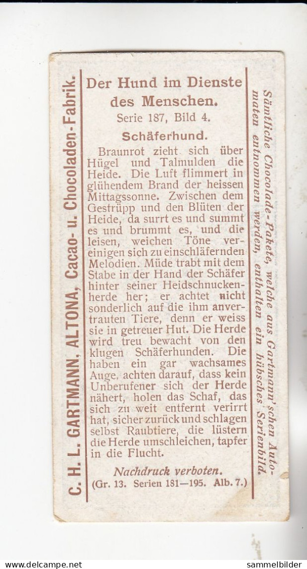 Gartmann Der Hund Im Dienste Des Menschen   Schäferhund     Serie 187 #4von 1907 - Sonstige & Ohne Zuordnung