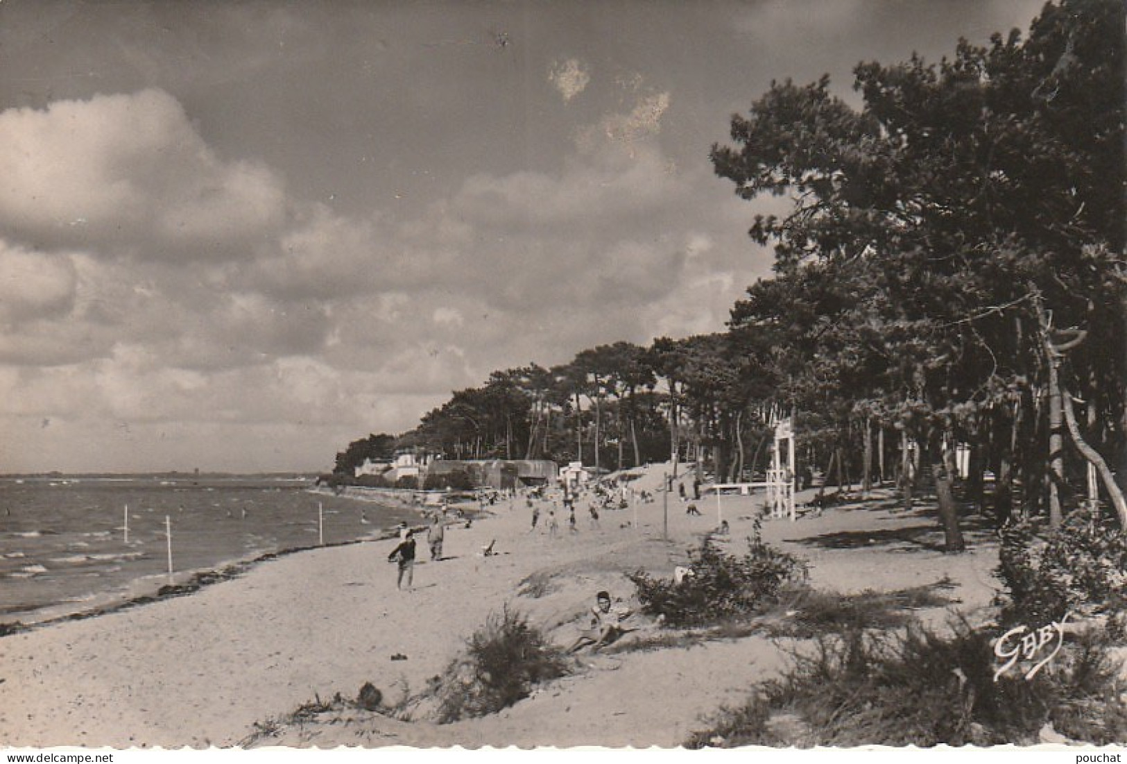 ZY 29-(17) RONCE LES BAINS - LA PLAGE ET LA FORET - 2 SCANS - Otros & Sin Clasificación