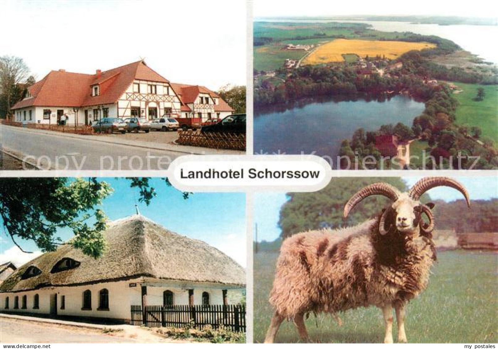 73652378 Schorssow Landhotel Schorssow Fliegeraufnahme Mufflonschaf Schorssow - Altri & Non Classificati
