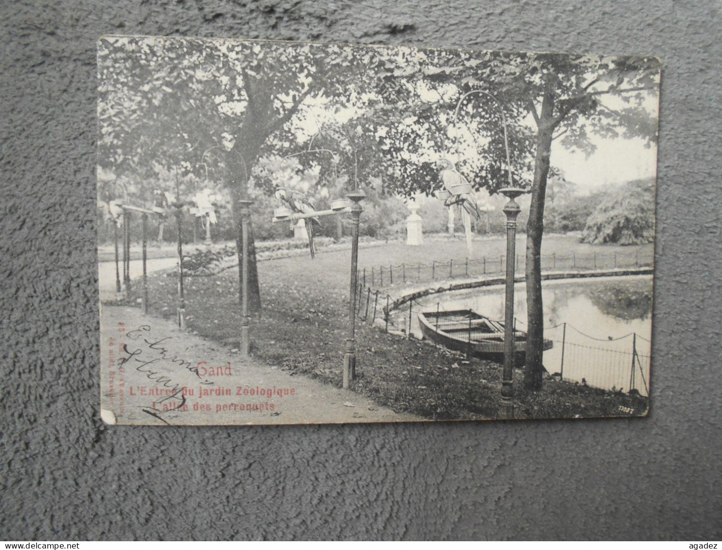 CPA Gent Gand L'entrée Du Jardin Zoologique L'allée Des Perroquets 1905 - Gent