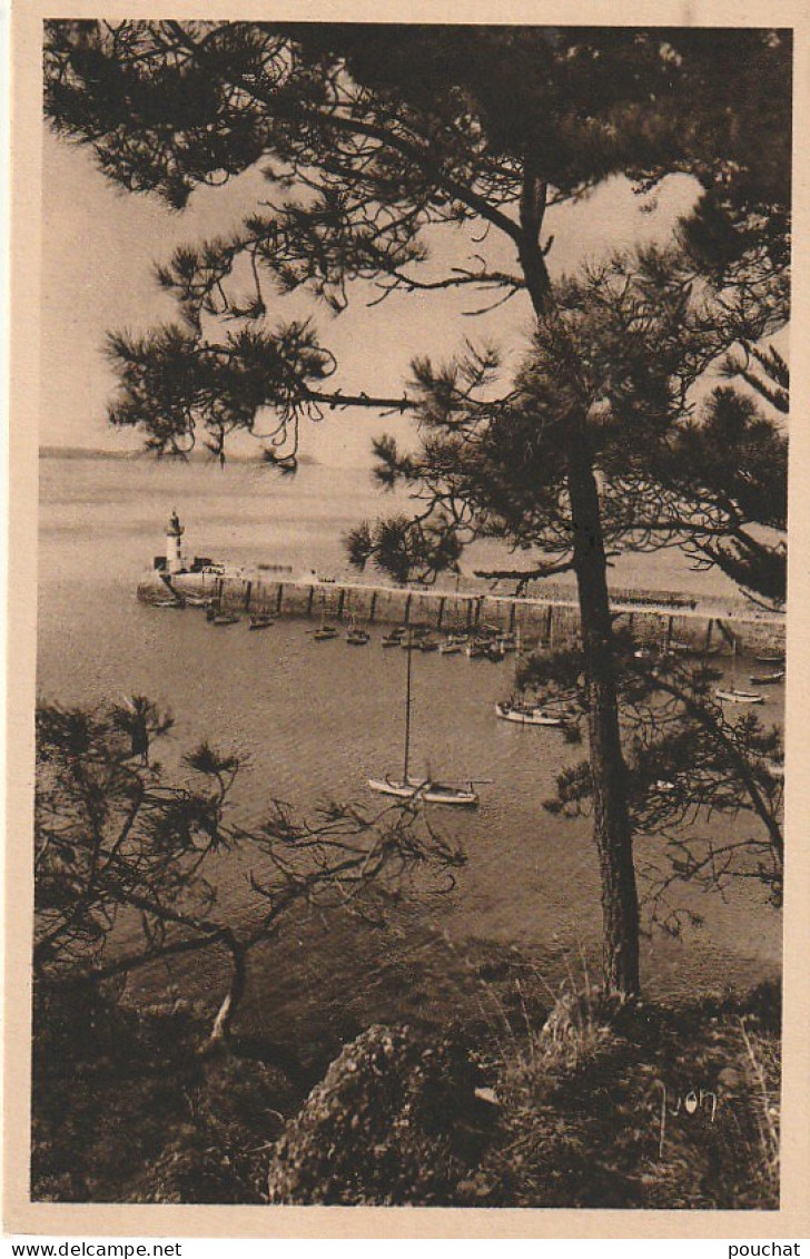 ZY 34 -(22) ENVIRONS DE LA PLAGE DE CAROUAL - LA JETEE DU PORT D' ERQUY - VUE DU PARC DU CHATEAU  DE NOIRMONT - 2 SCANS - Erquy