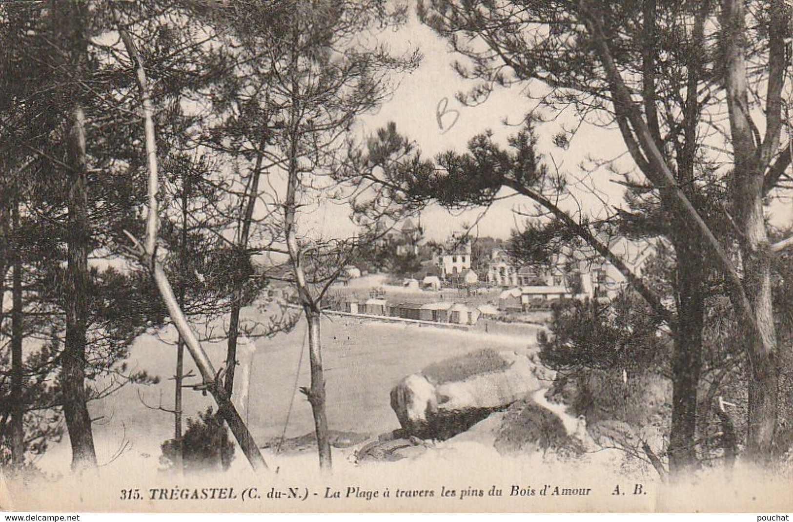 ZY 34 -(22) TREGASTEL - LA PLAGE A TRAVERS LES PINS DU BOIS D' AMOUR - 2 SCANS - Trégastel