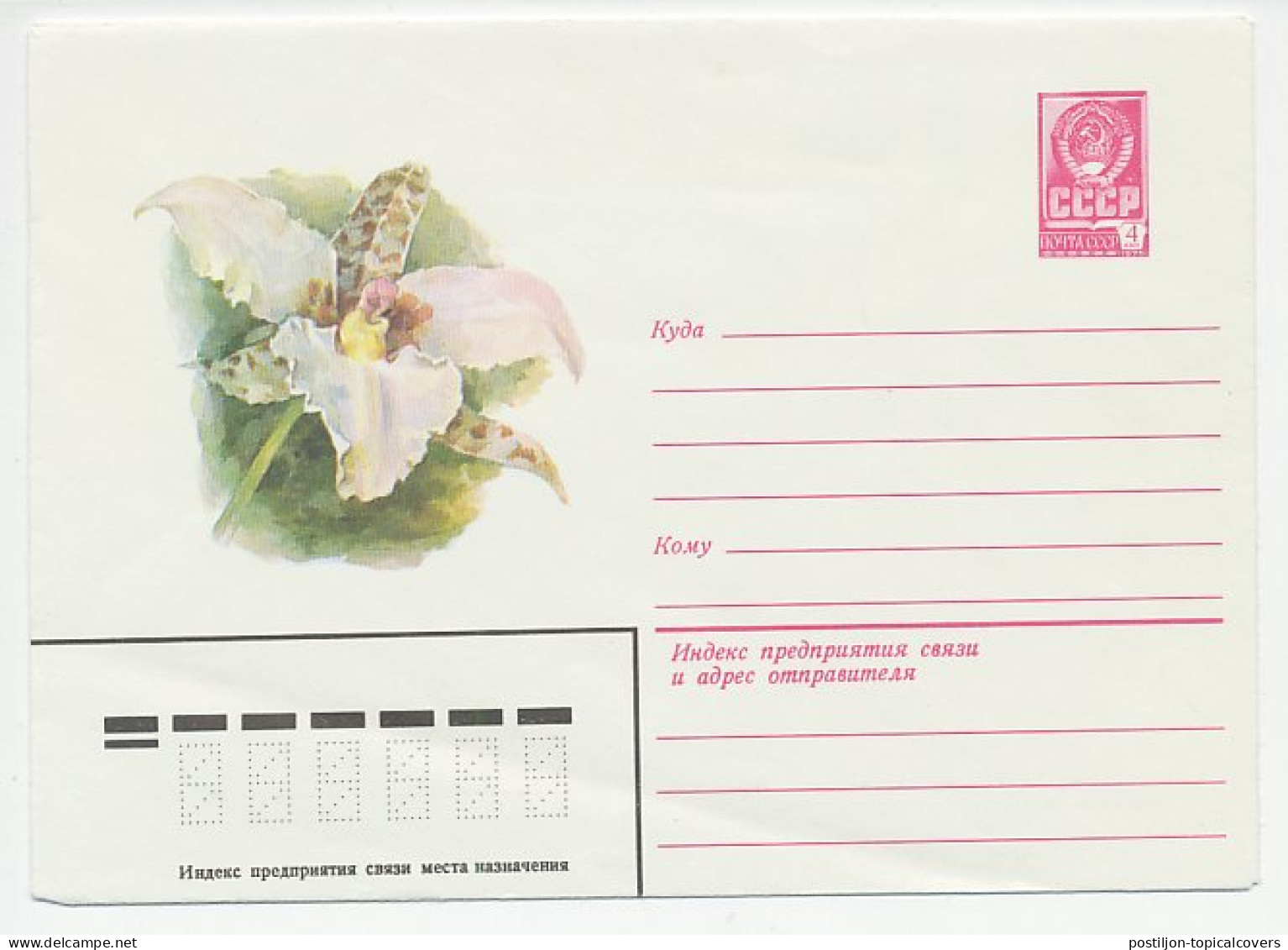 Postal Stationery Soviet Union 1981 Flower - Other & Unclassified
