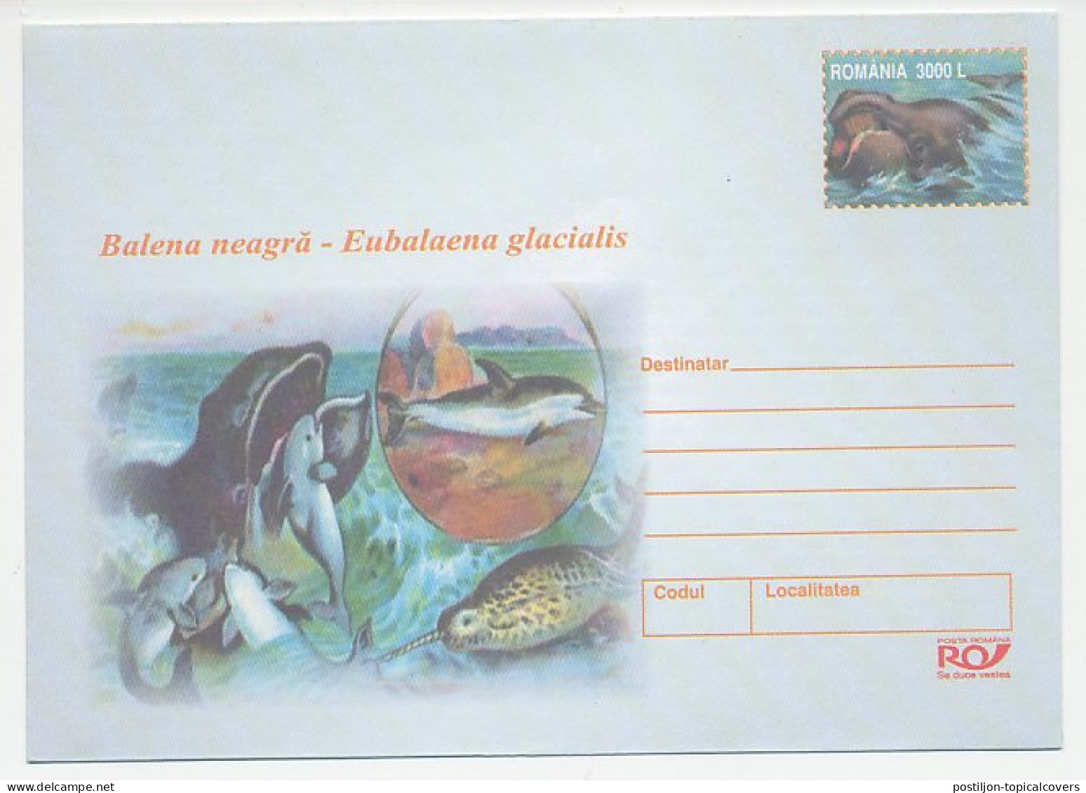 Postal Stationery Romania 2002 Whale - Narwhal - Dolphin - Otros & Sin Clasificación