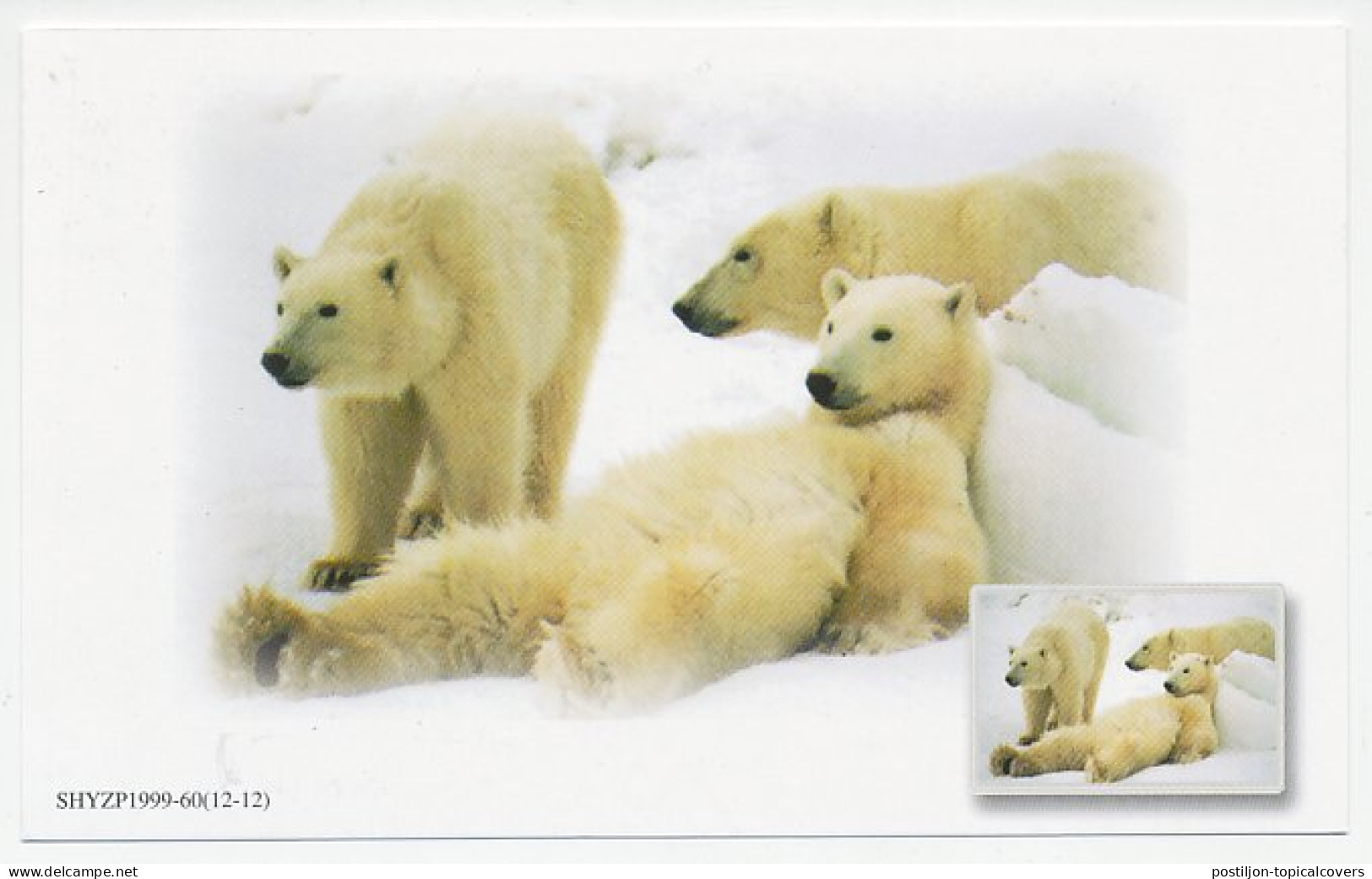 Postal Stationery China 1999 Polar Bear - Expediciones árticas