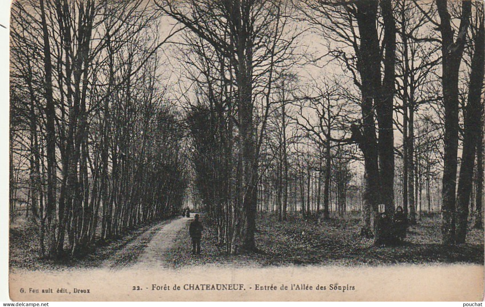 ZY 40-(28) FORET DE CHATEAUNEUF - ENTREE DE L' ALLEE DES SOUPIRS - 2 SCANS - Châteauneuf